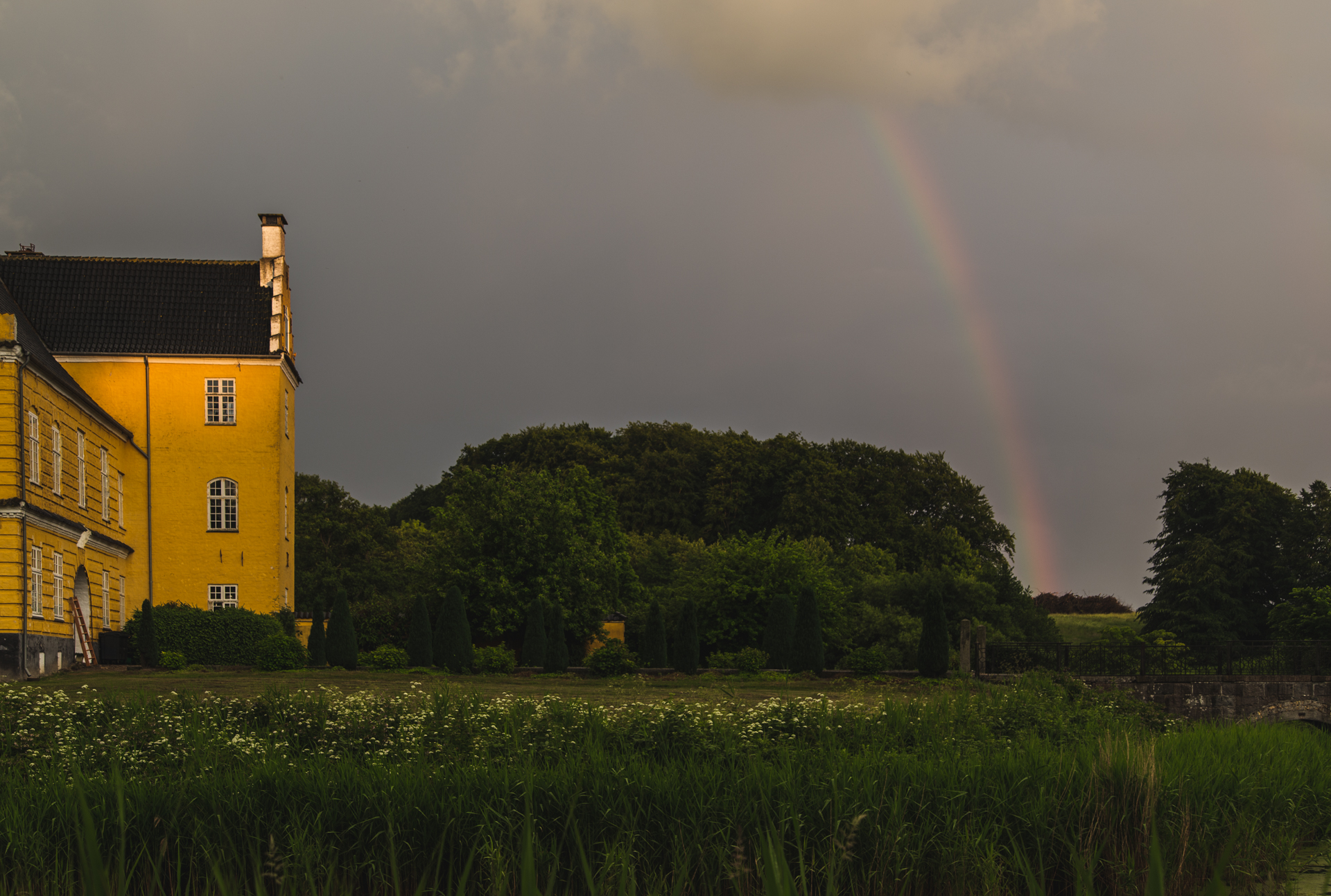 bryllup oslo fotograph norway