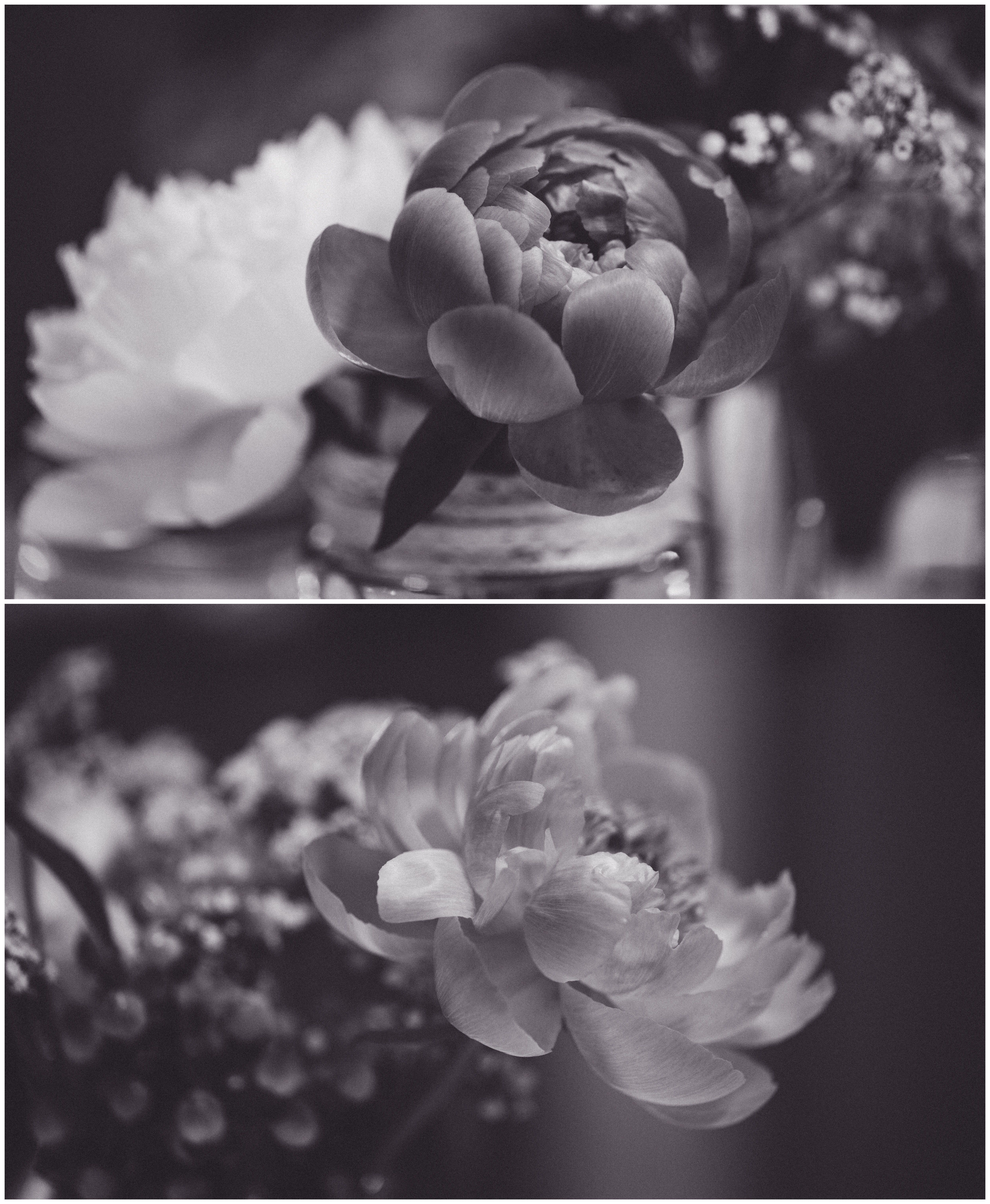 bryllup oslo fotograph norway