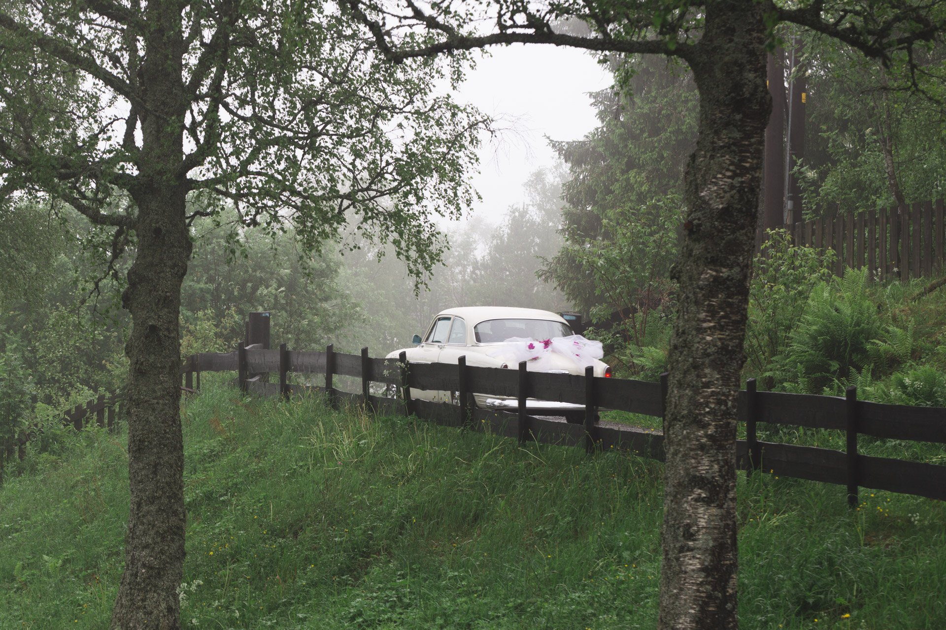 bryllup oslo fotograph norway