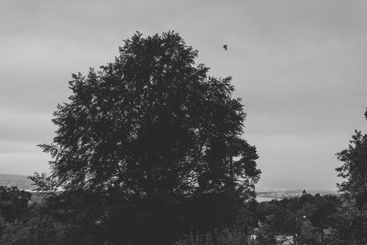 bryllup oslo fotograph norway