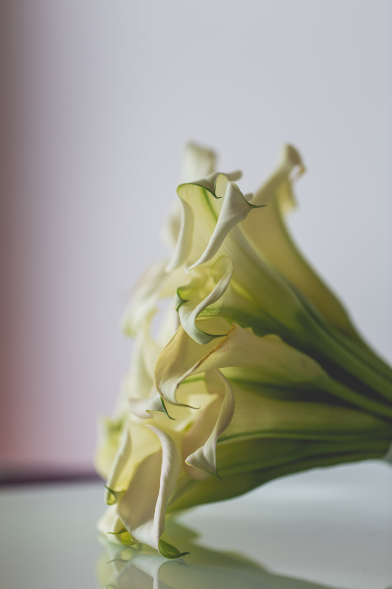 bryllup oslo fotograph norway