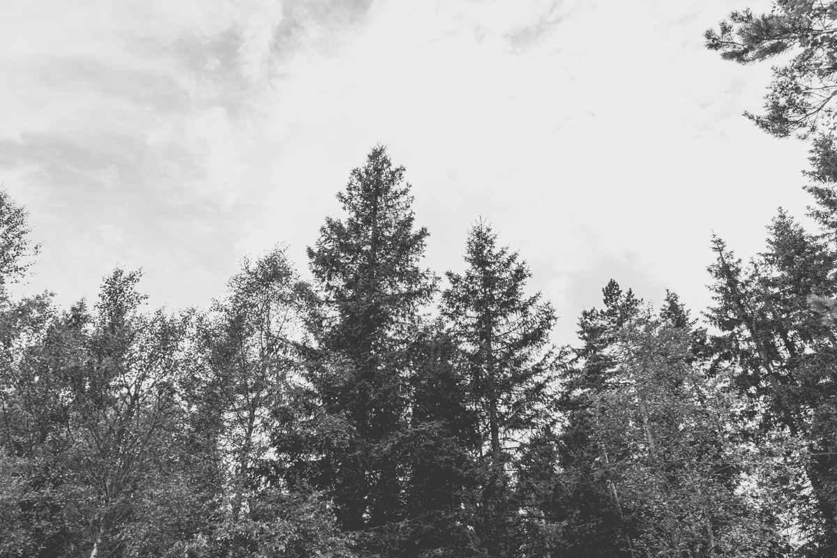 bryllup oslo fotograph norway