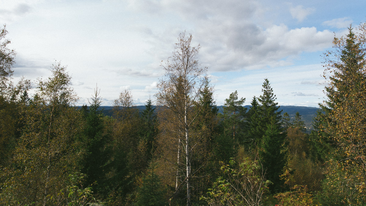 bryllup oslo fotograph norway