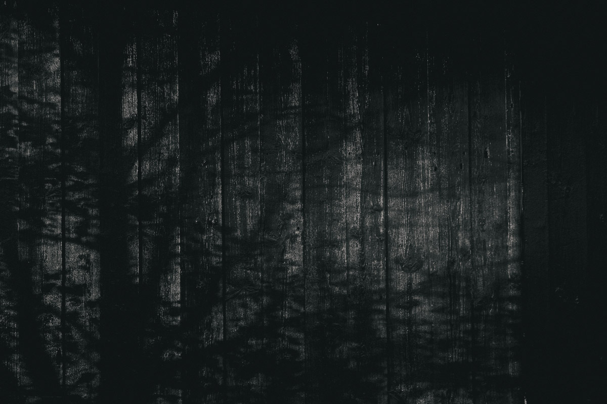 bryllup oslo fotograph norway