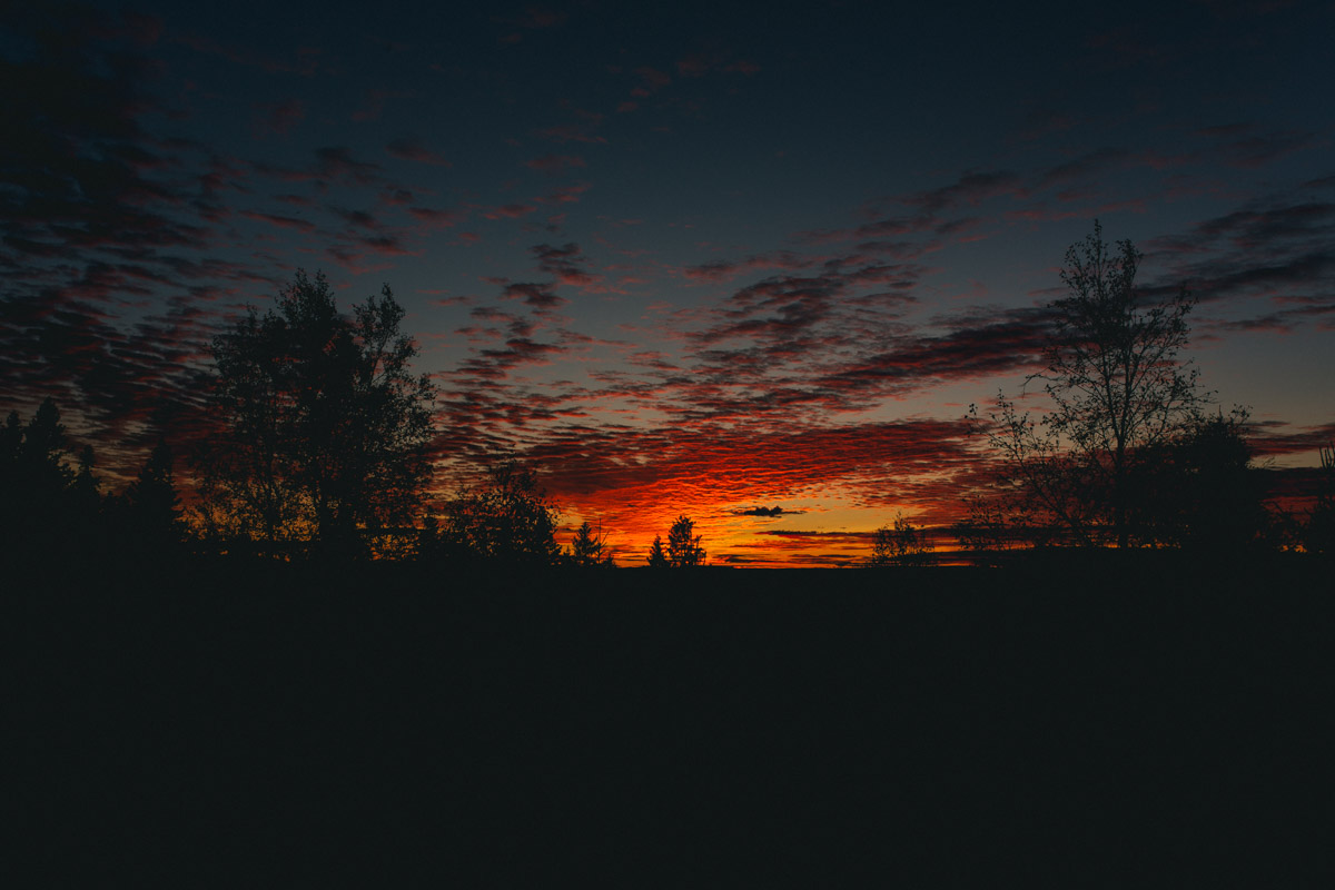 bryllup oslo fotograph norway