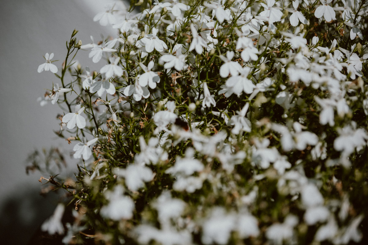 bryllup oslo fotograph norway