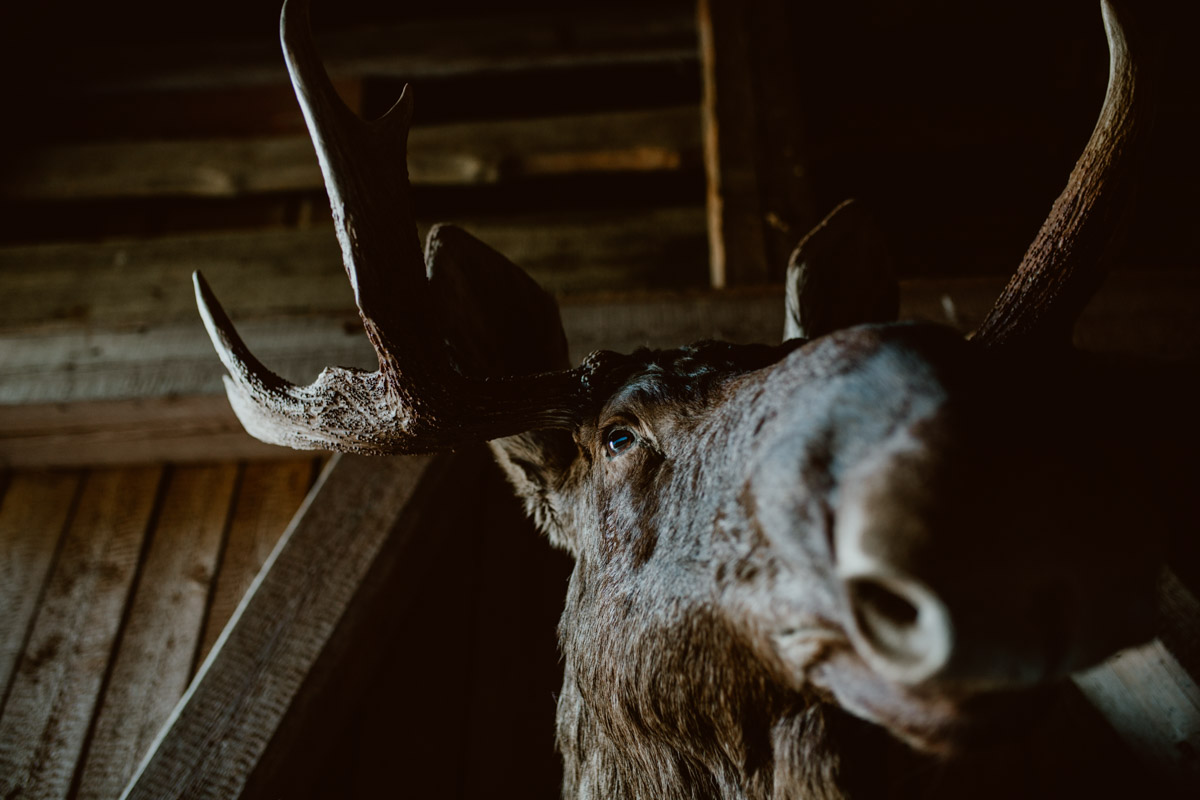 bryllup oslo fotograph norway