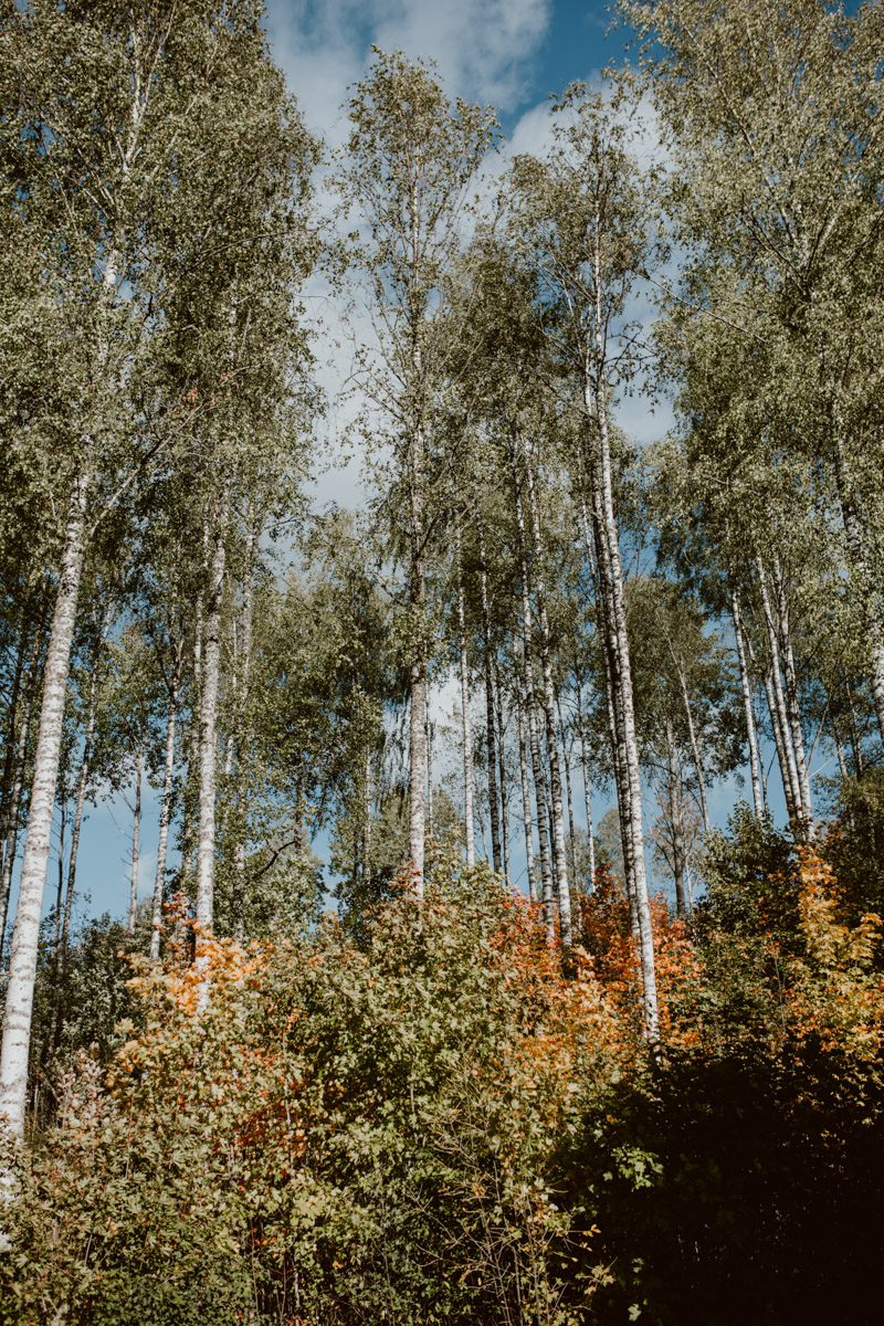 bryllup oslo fotograph norway