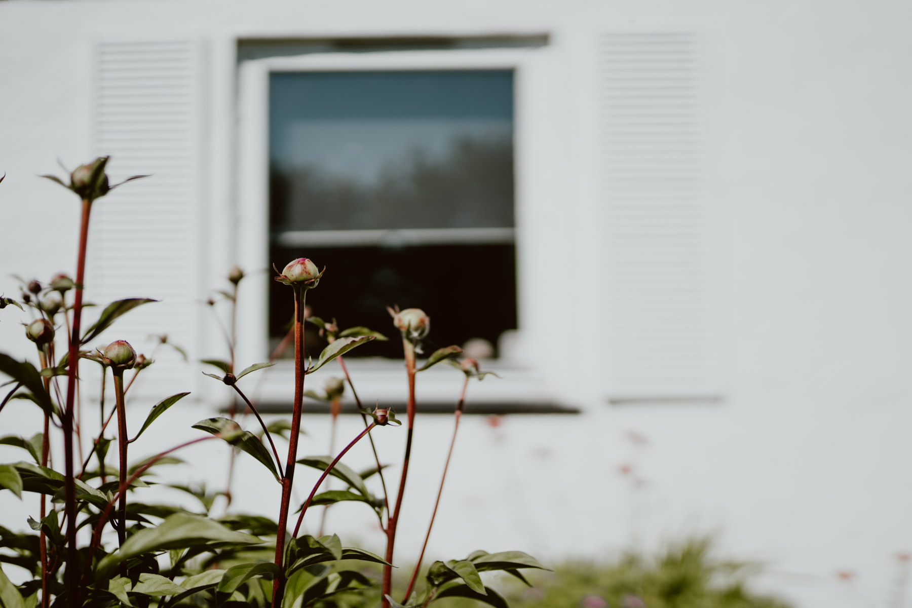 bryllup oslo fotograph norway