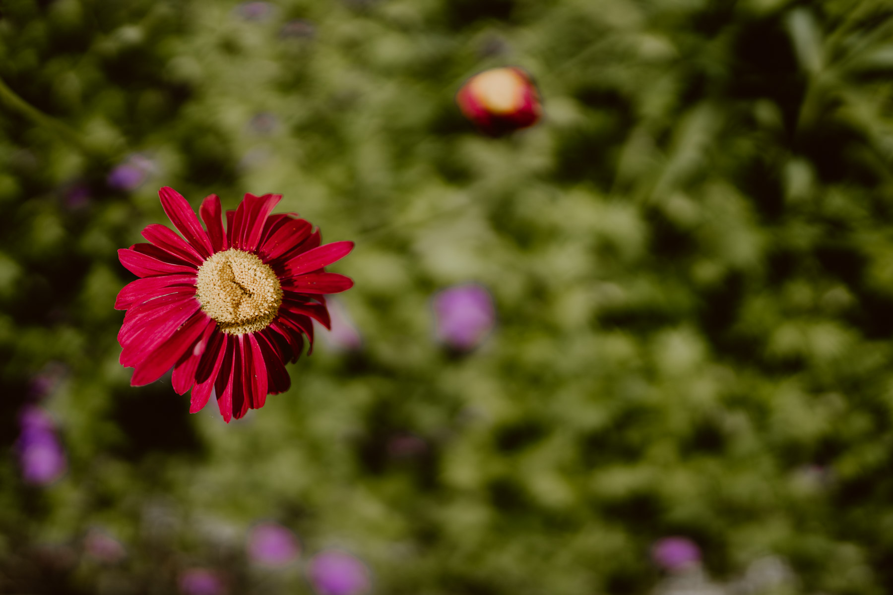 bryllup oslo fotograph norway