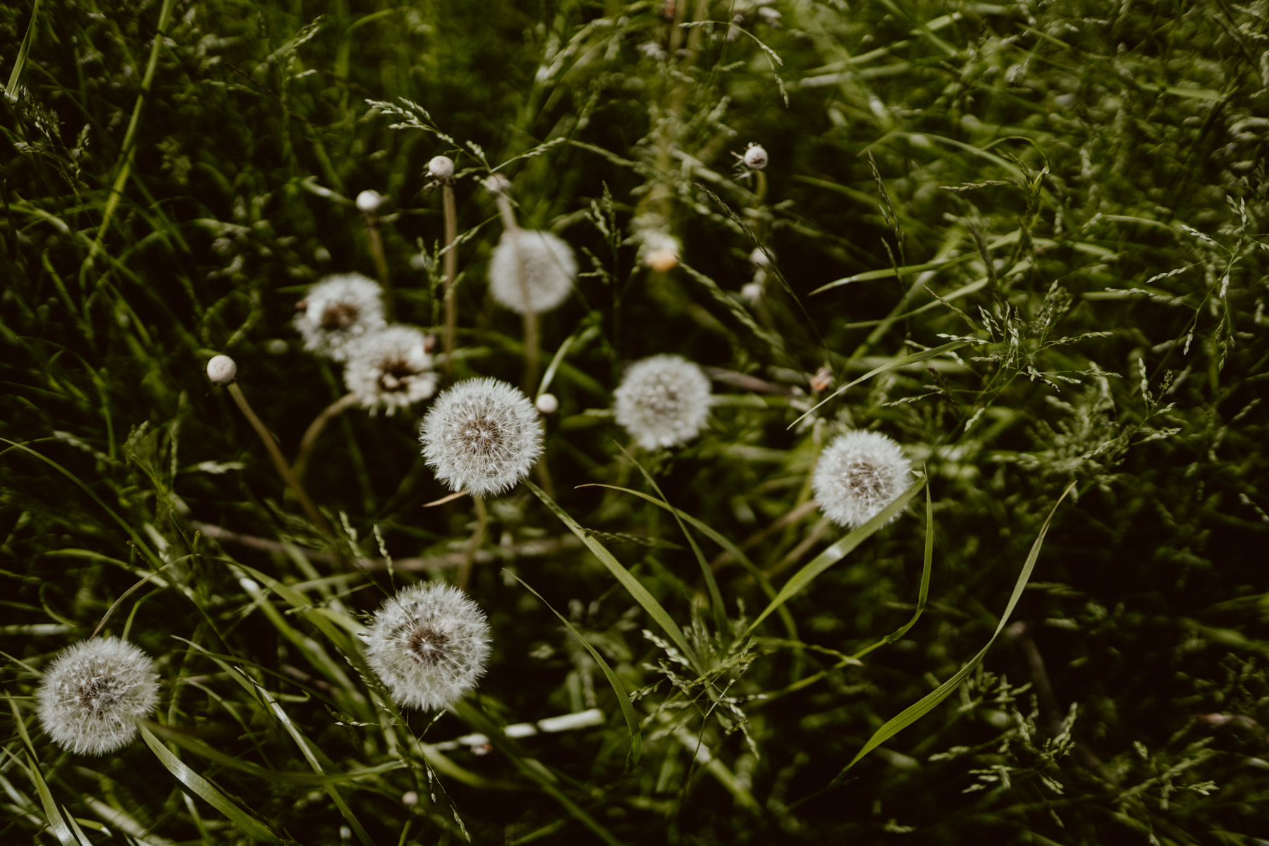 bryllup oslo fotograph norway