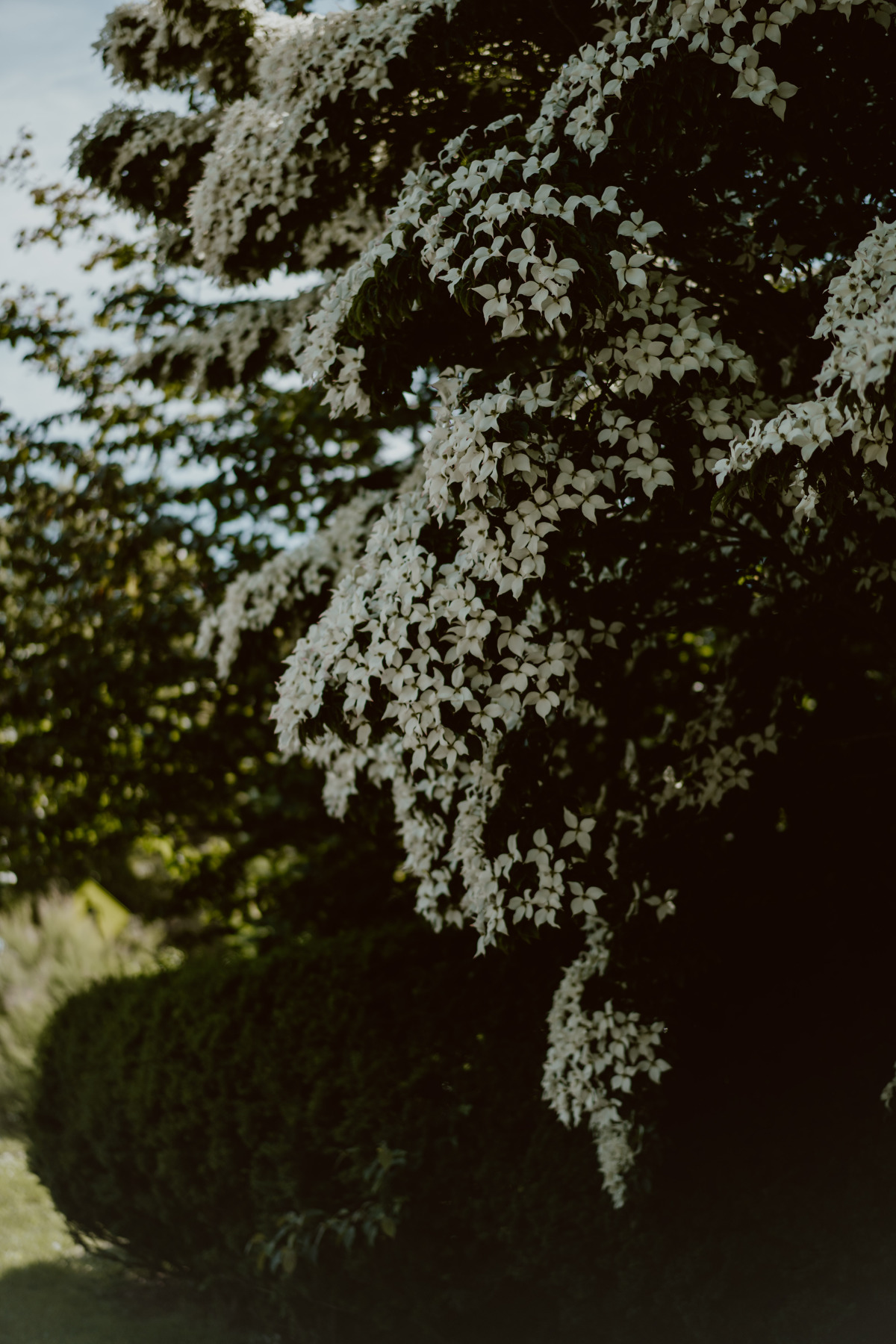 bryllup oslo fotograph norway