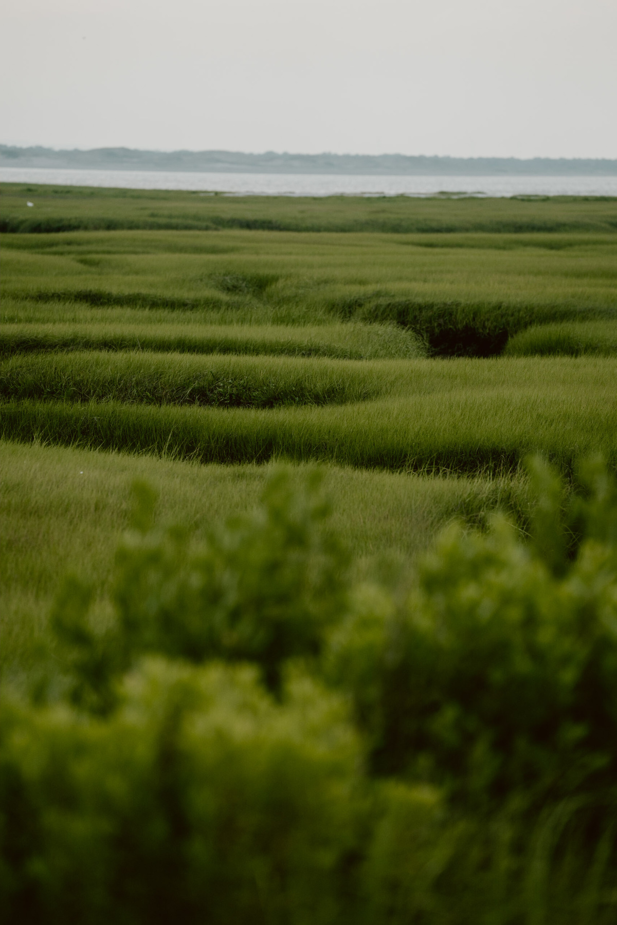 bryllup oslo fotograph norway