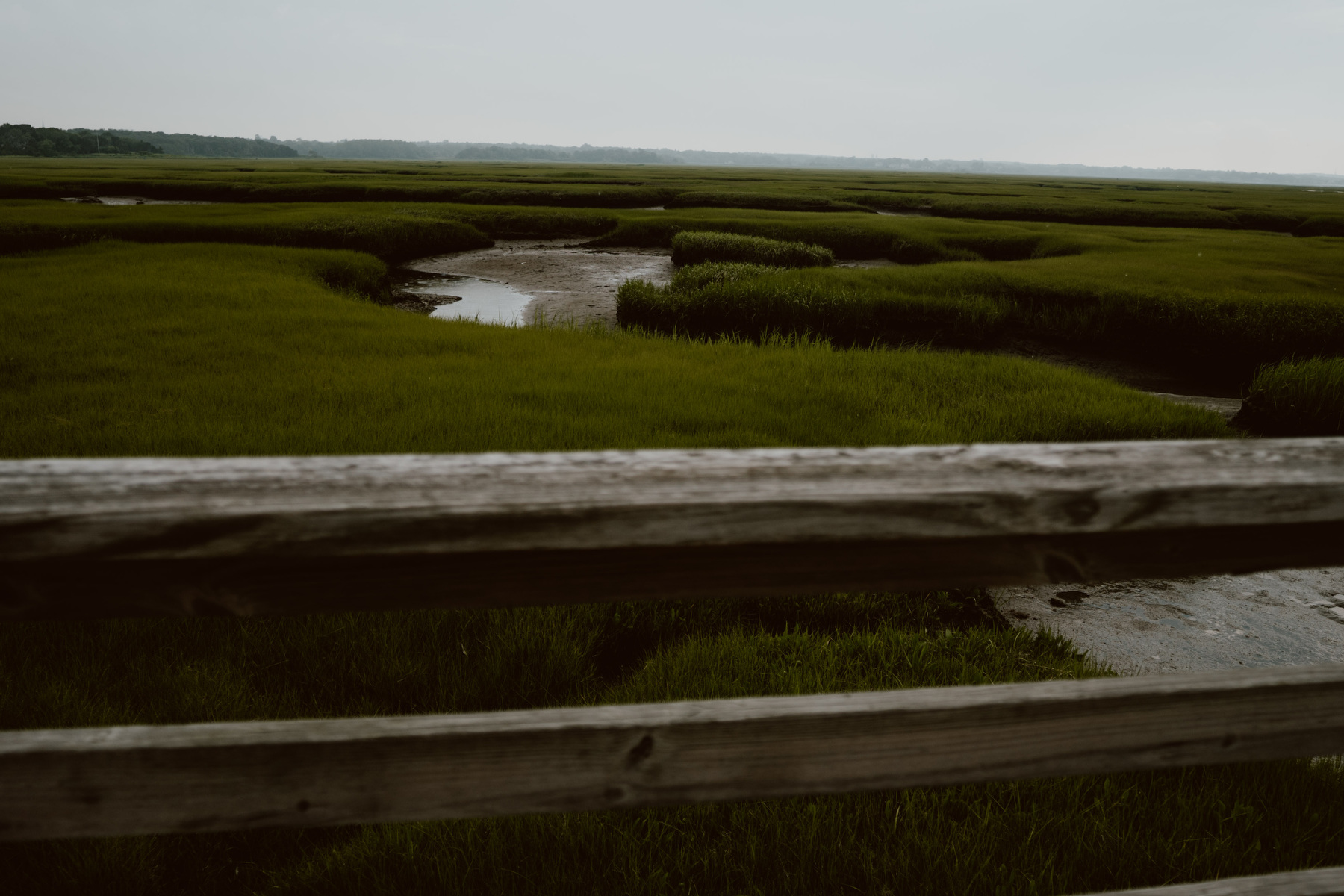 bryllup oslo fotograph norway