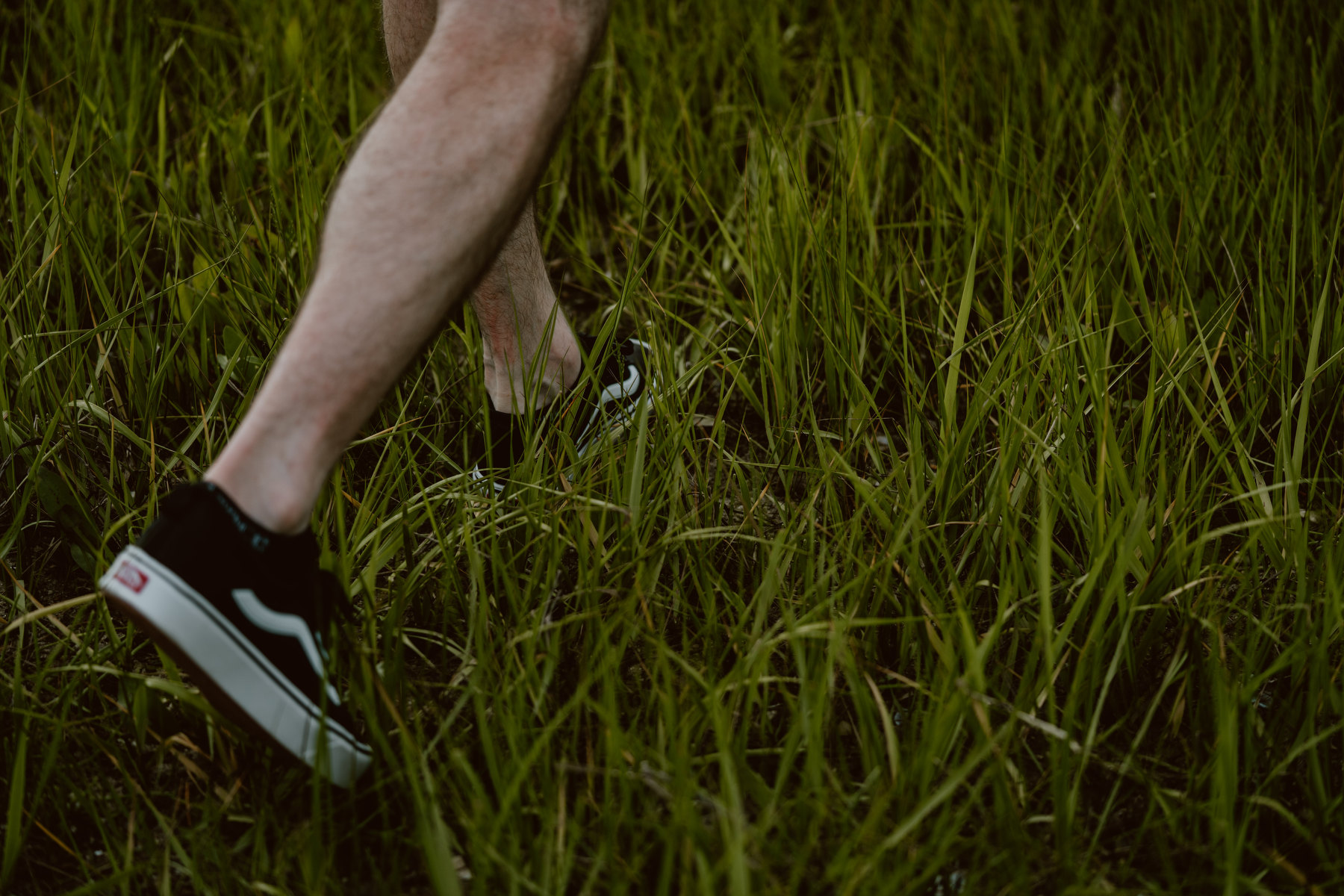 bryllup oslo fotograph norway