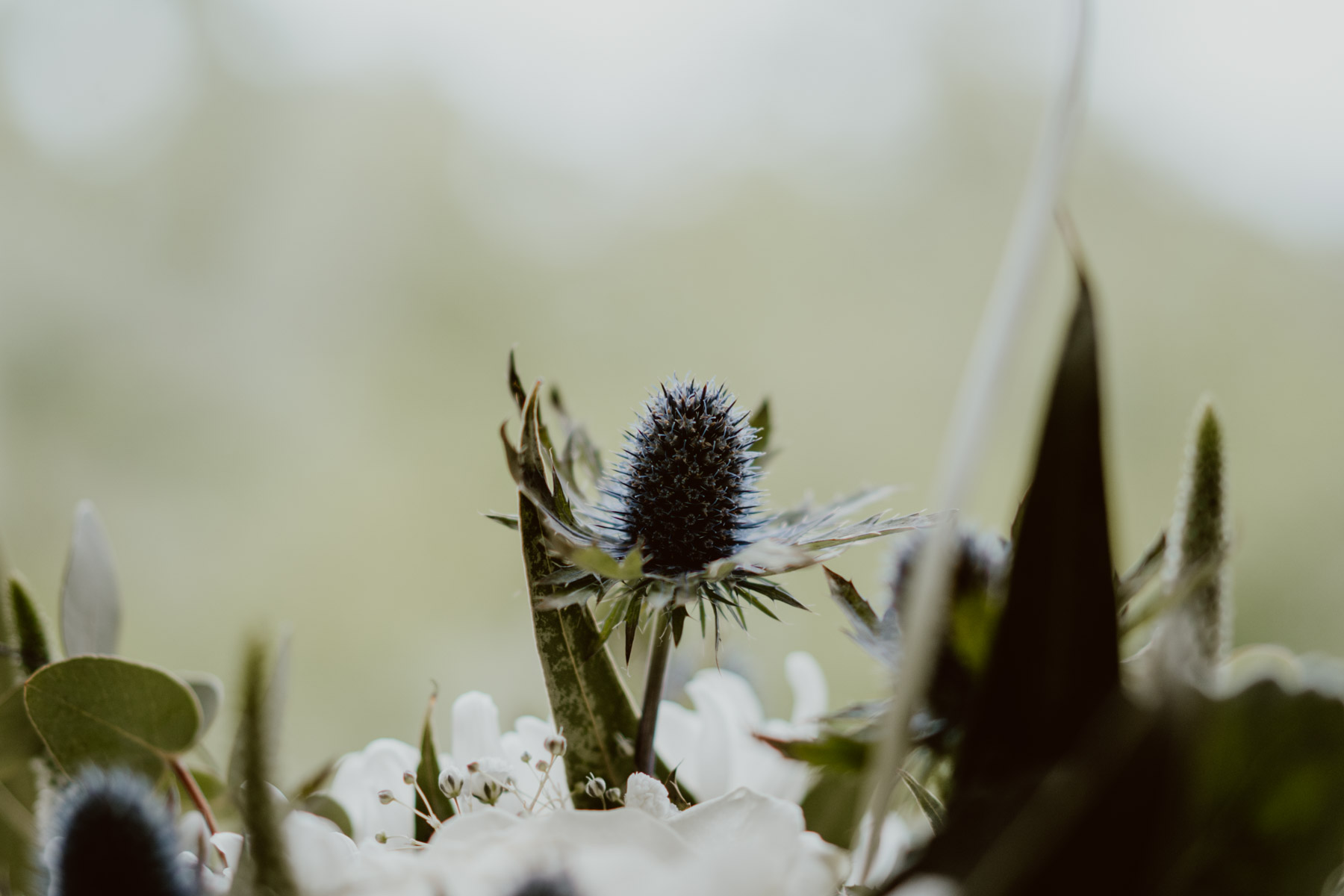 bryllup oslo fotograph norway