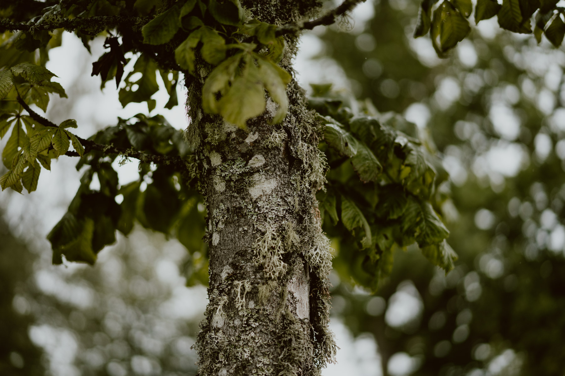 bryllup oslo fotograph norway