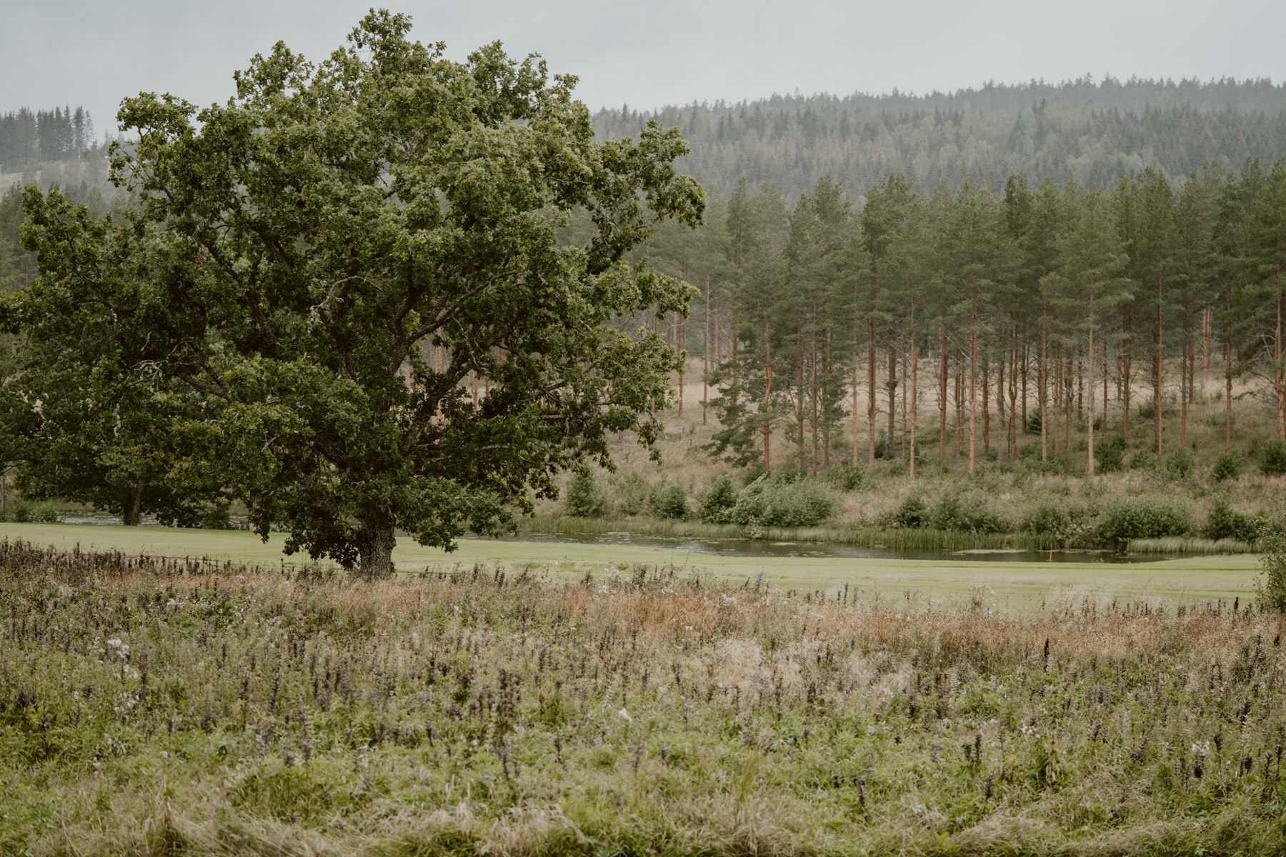 bryllup oslo fotograph norway