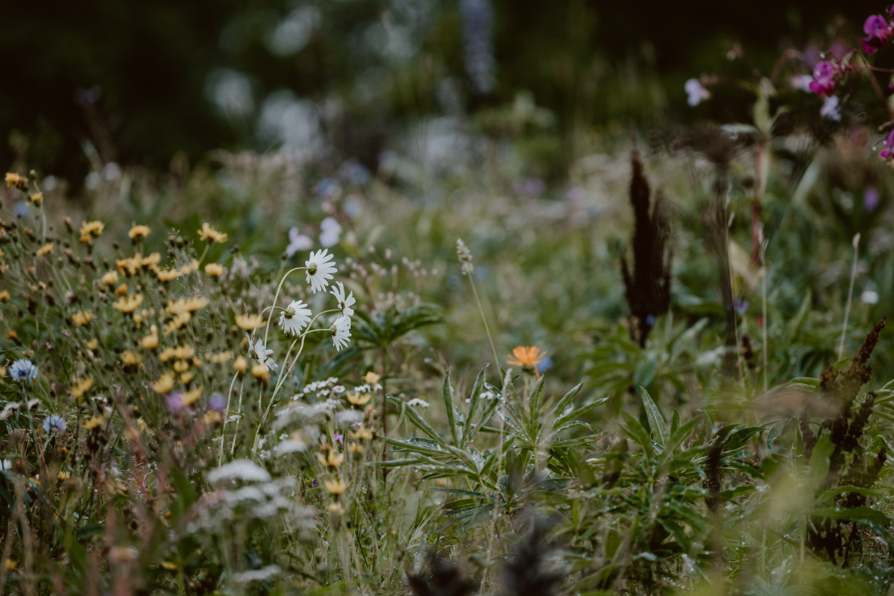 bryllup oslo fotograph norway