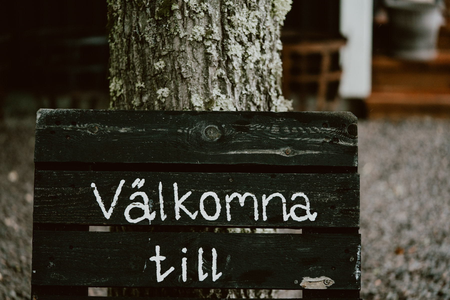 bryllup oslo fotograph norway