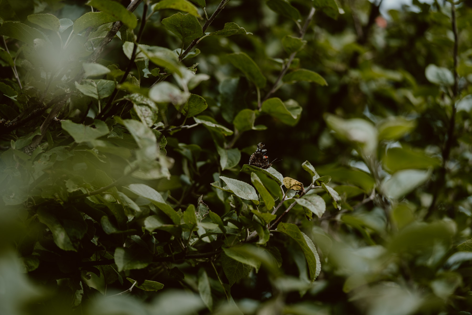 bryllup oslo fotograph norway