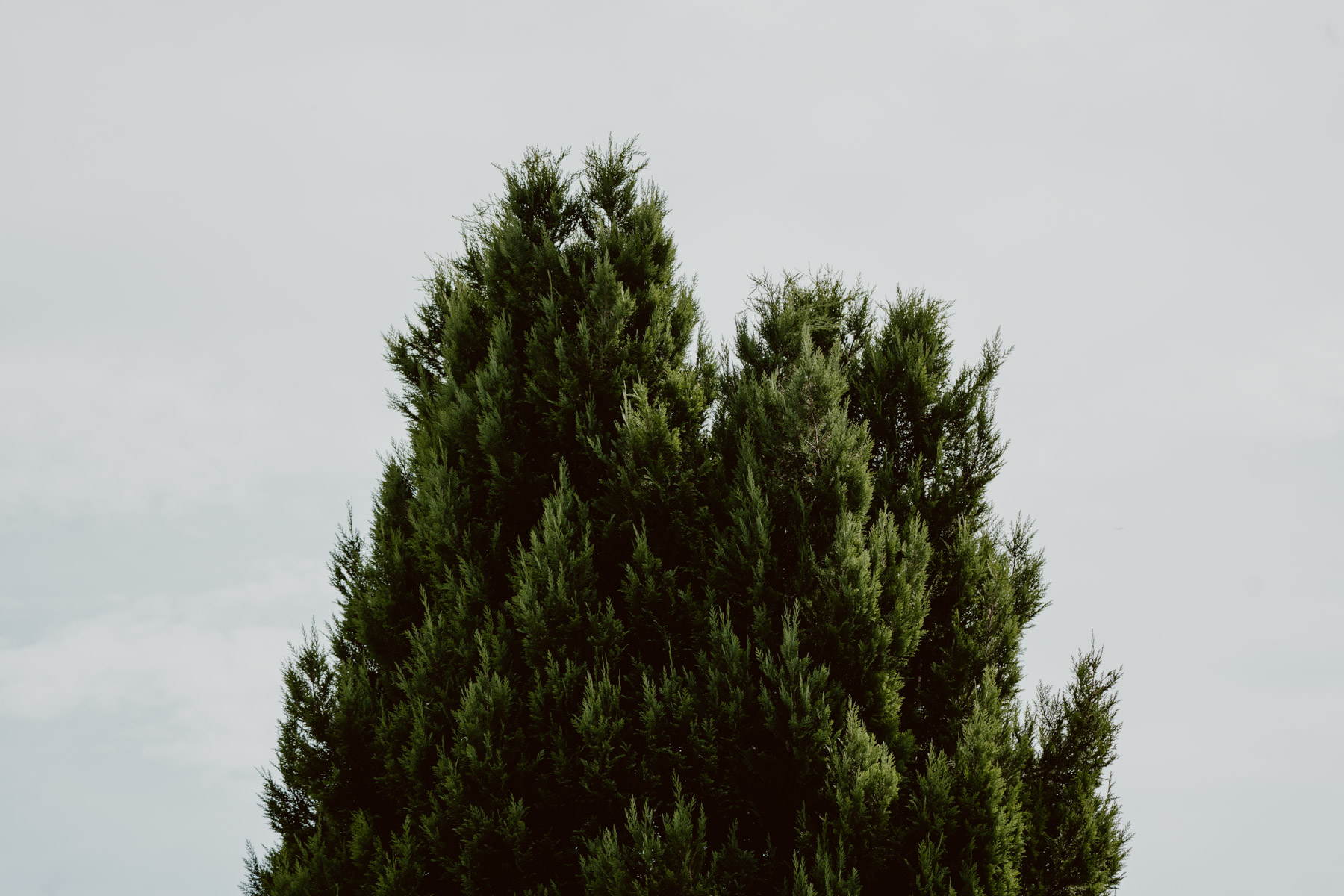 bryllup oslo fotograph norway