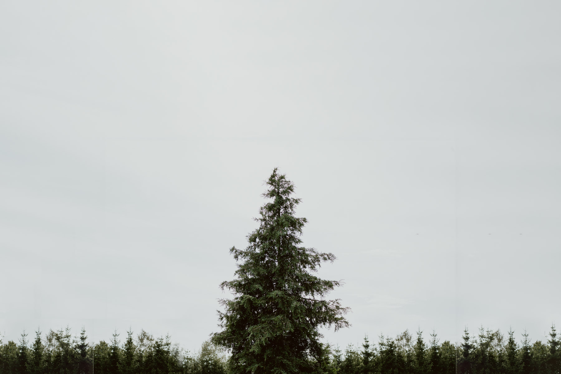 bryllup oslo fotograph norway