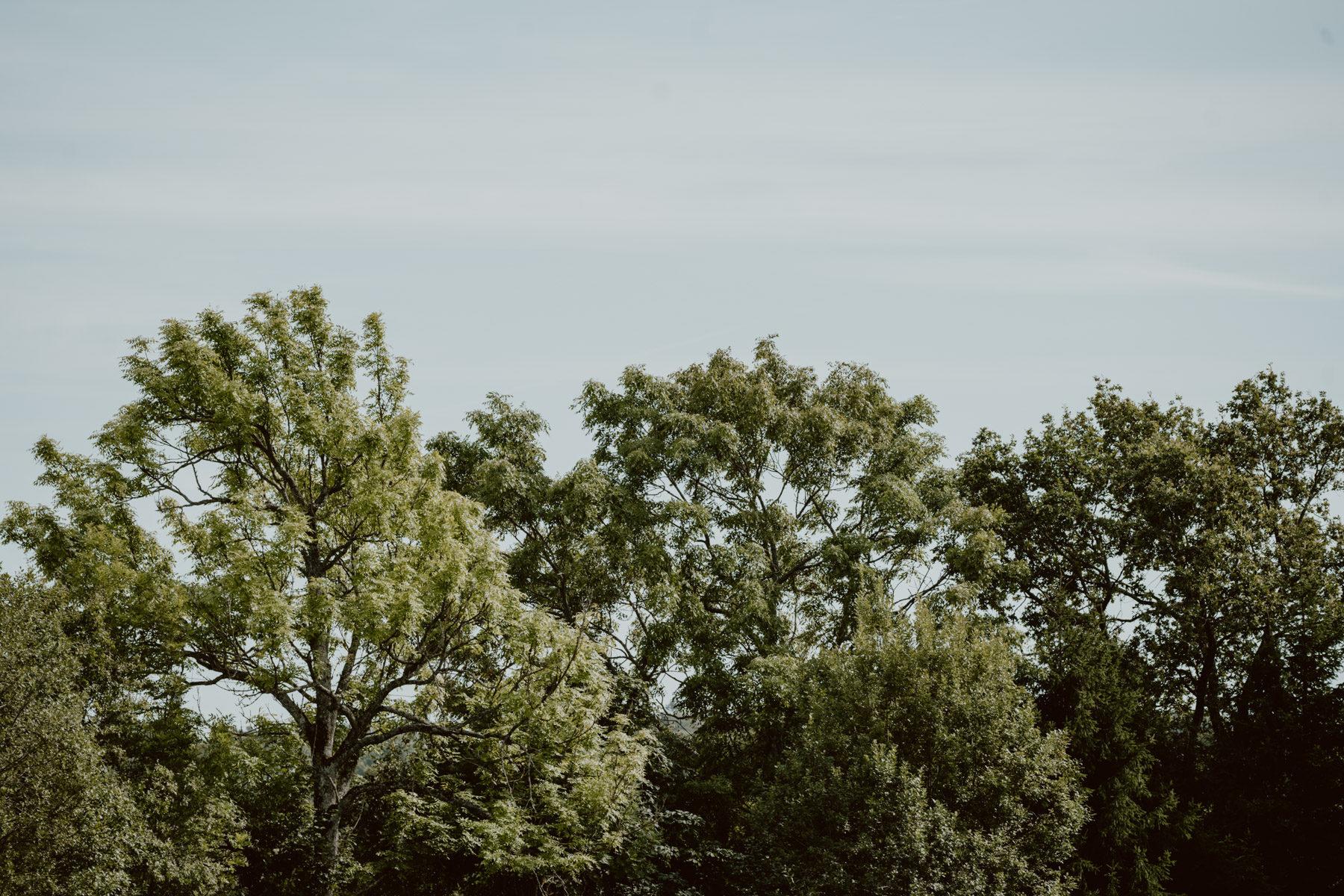 bryllup oslo fotograph norway