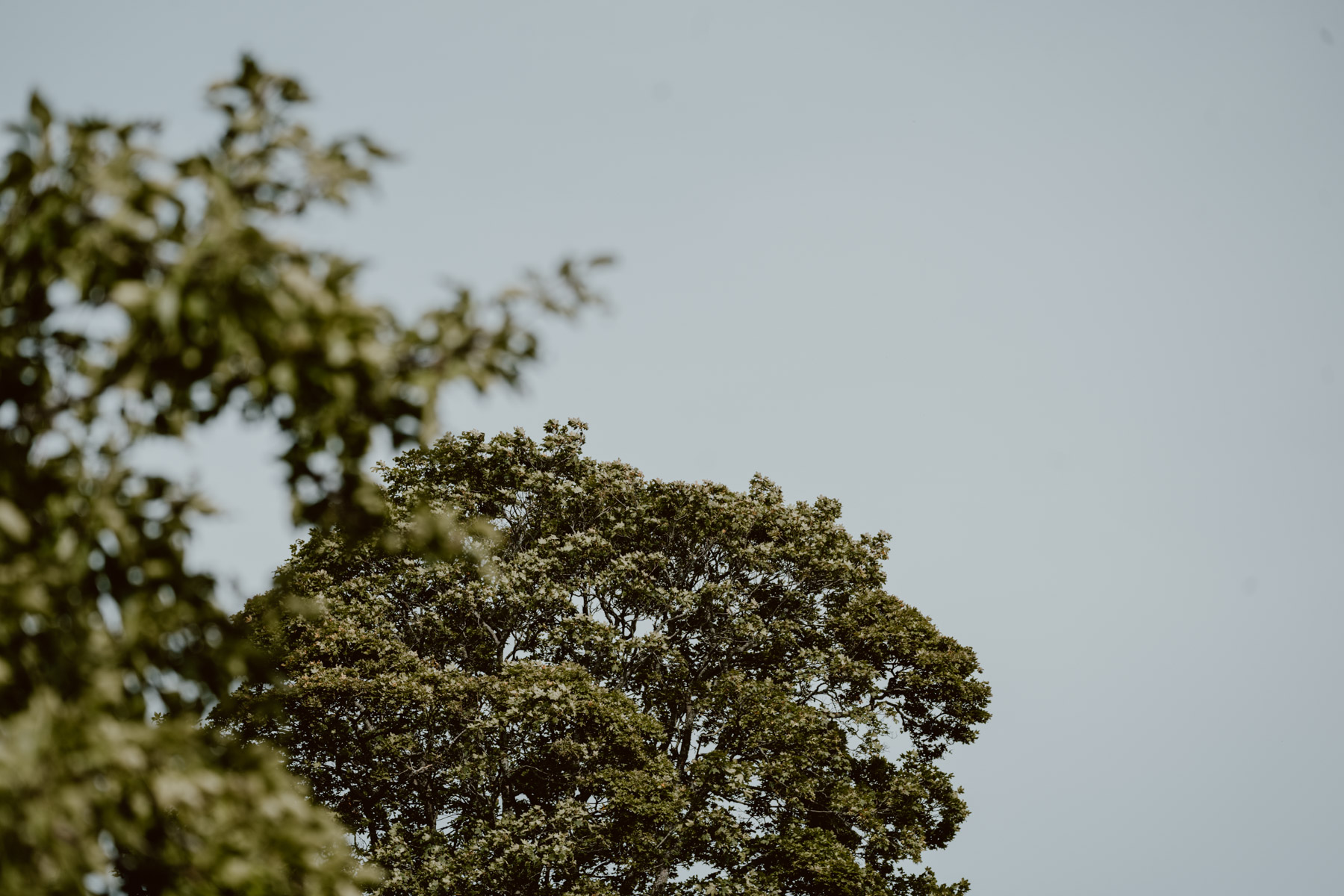 bryllup oslo fotograph norway