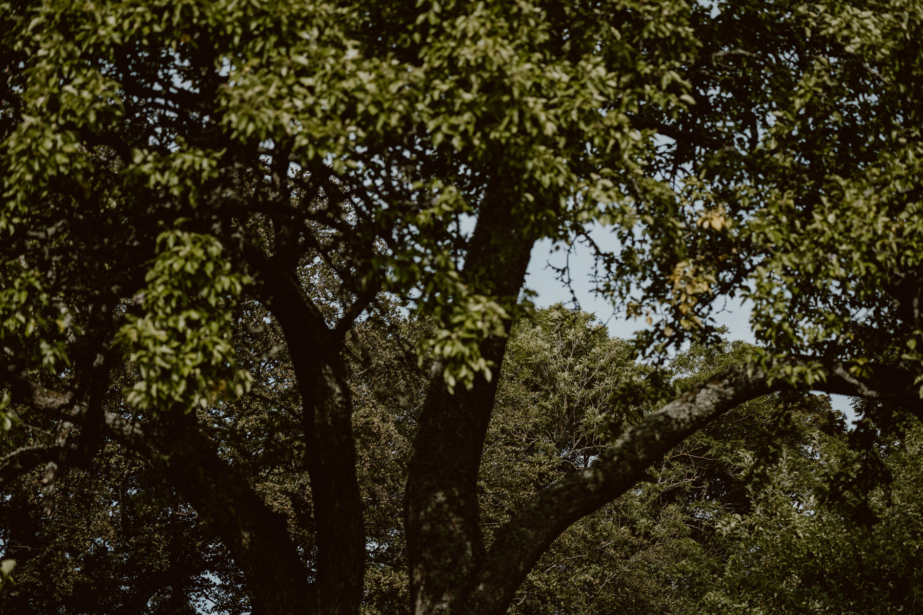 bryllup oslo fotograph norway