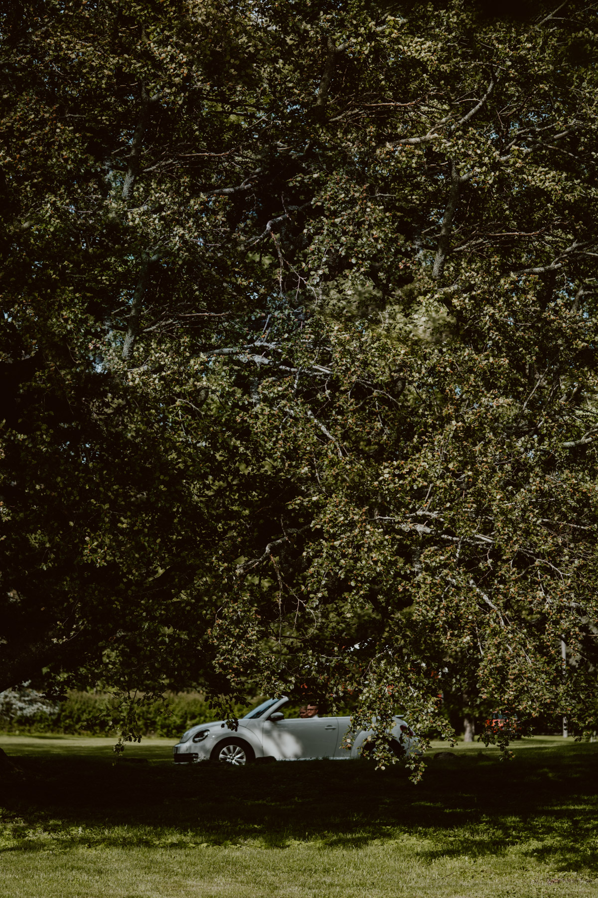 bryllup oslo fotograph norway