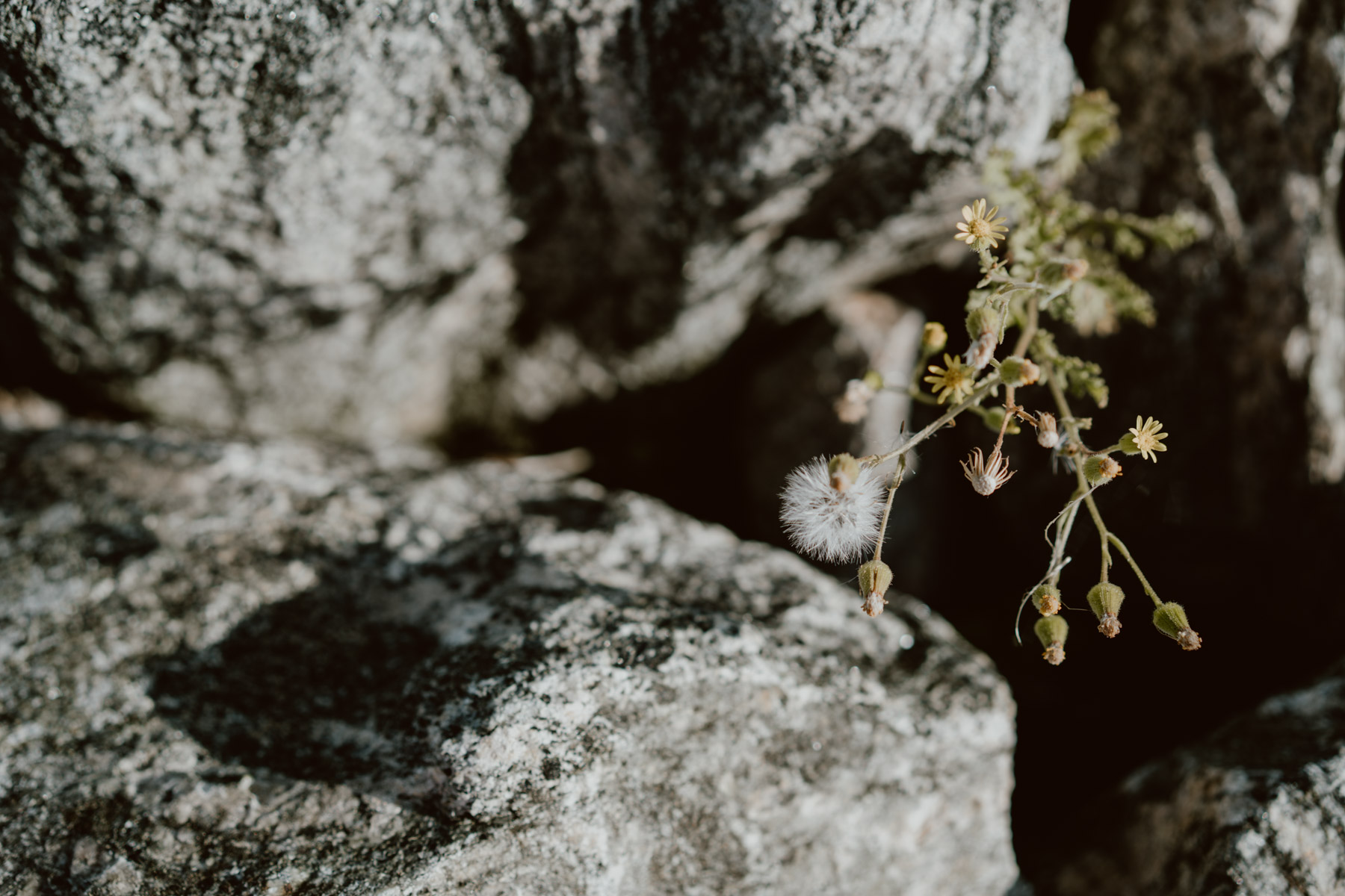 bryllup oslo fotograph norway