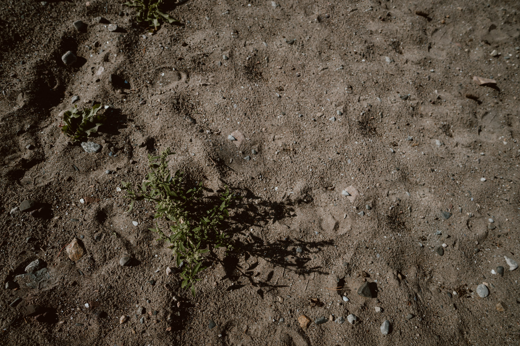 bryllup oslo fotograph norway