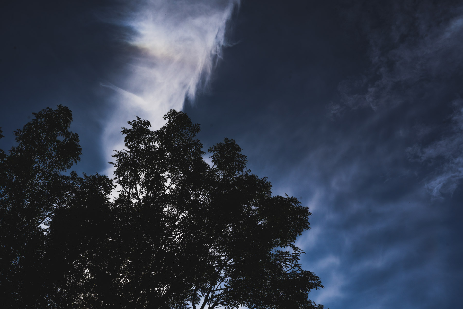 bryllup oslo fotograph norway