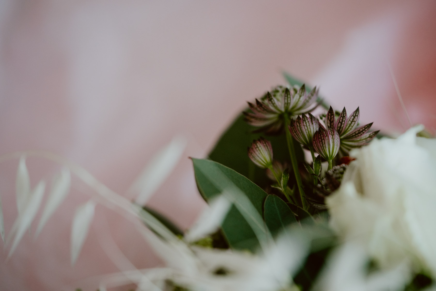 bryllup oslo fotograph norway