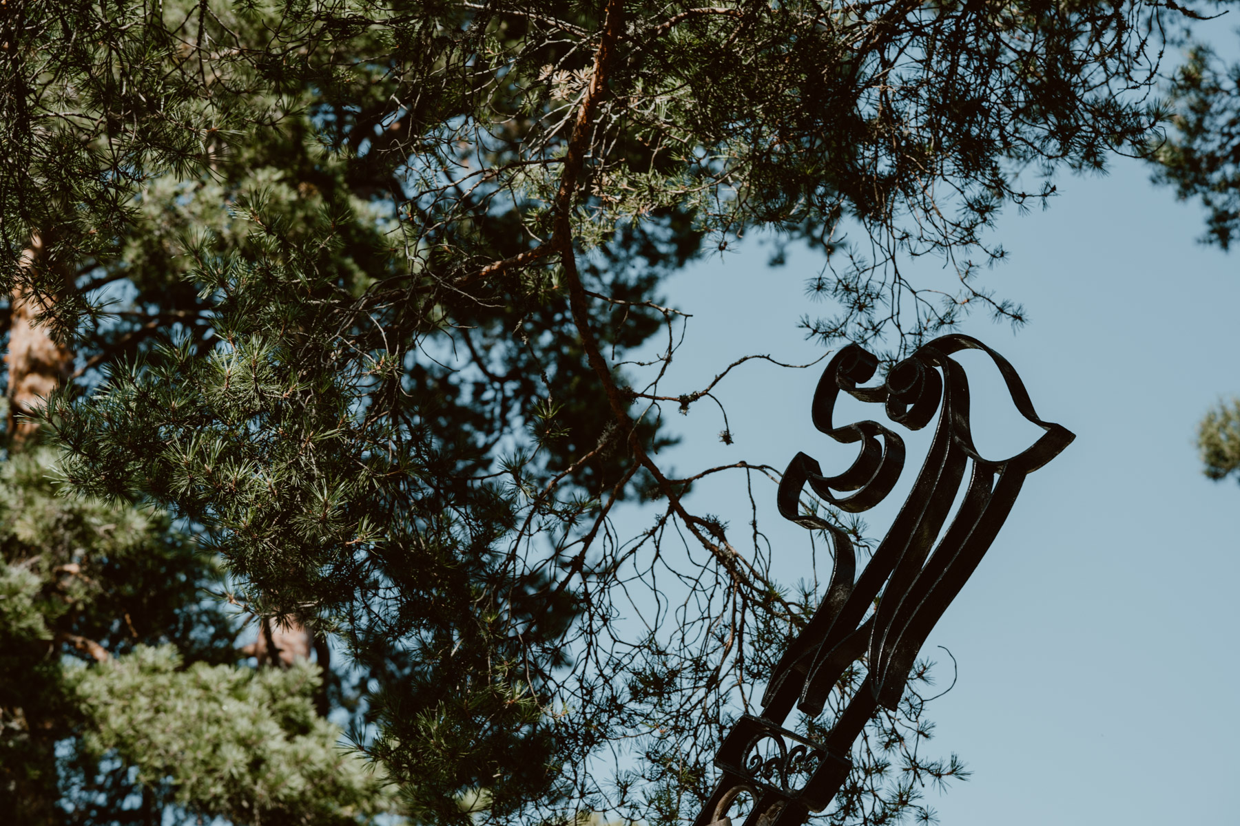 bryllup oslo fotograph norway