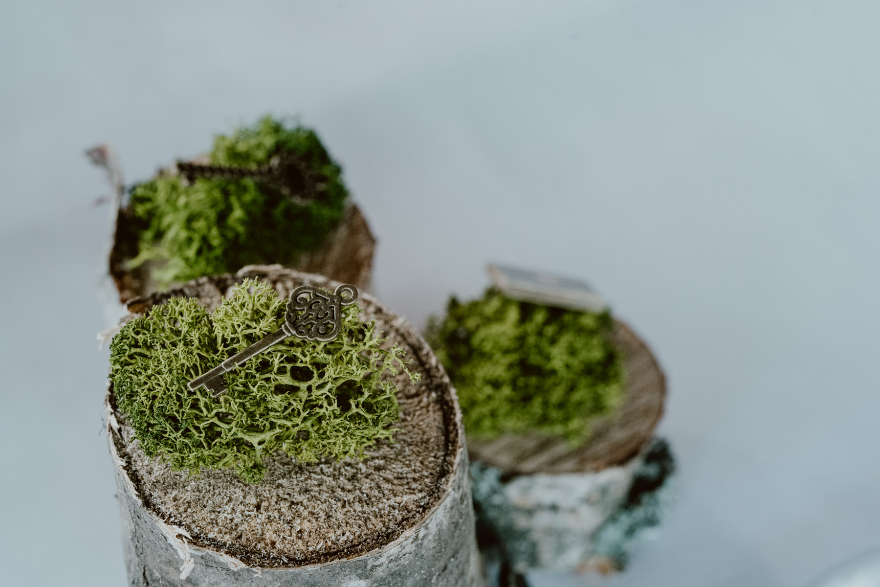 bryllup oslo fotograph norway