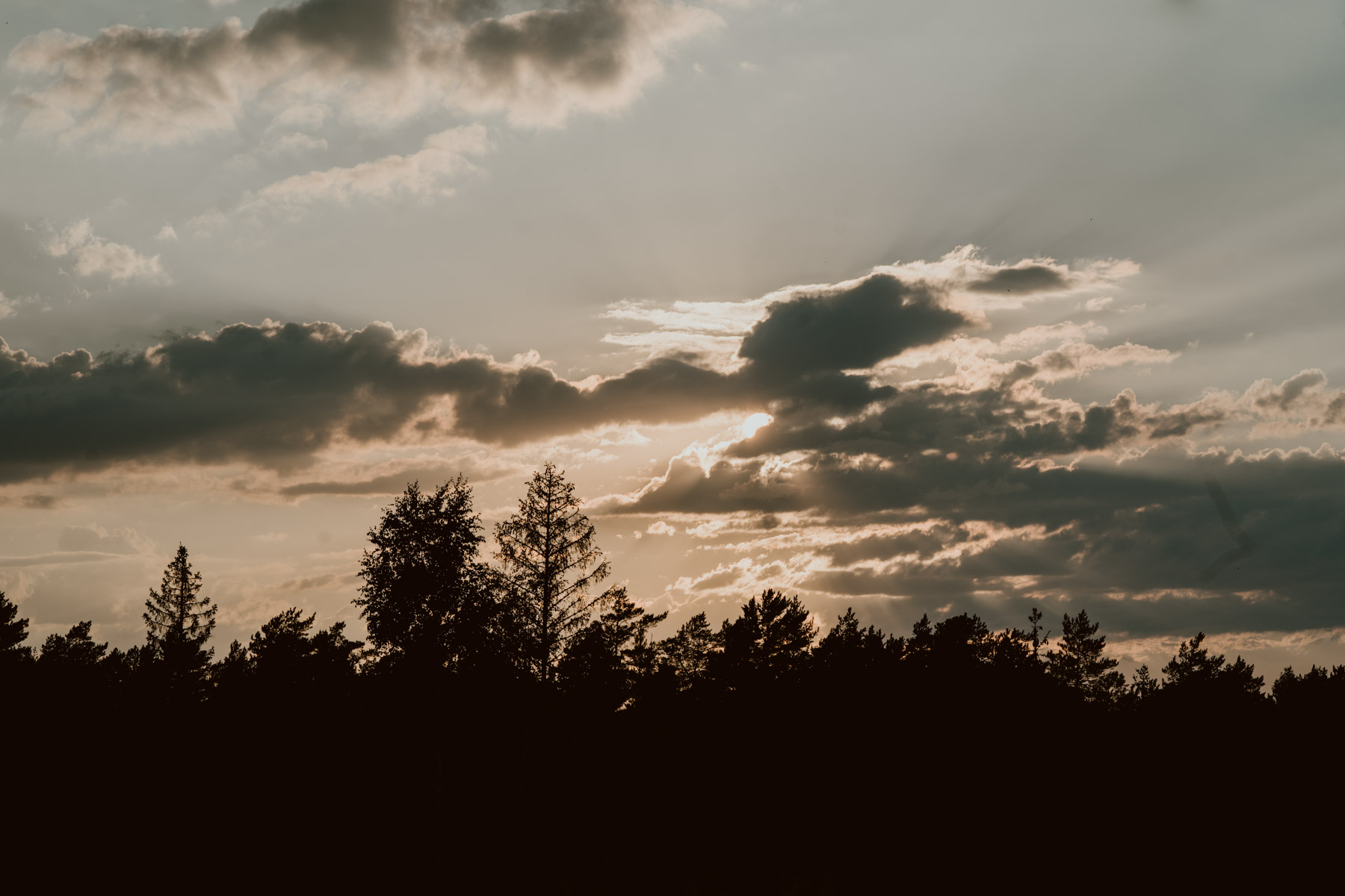 bryllup oslo fotograph norway