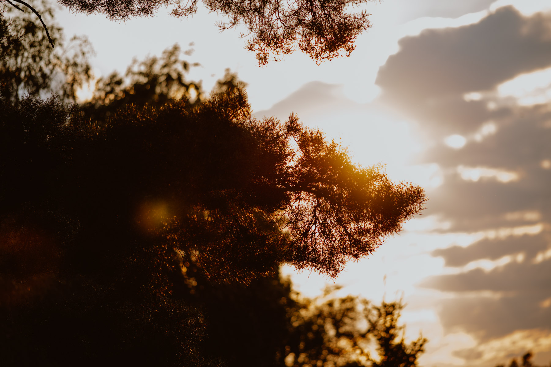 bryllup oslo fotograph norway