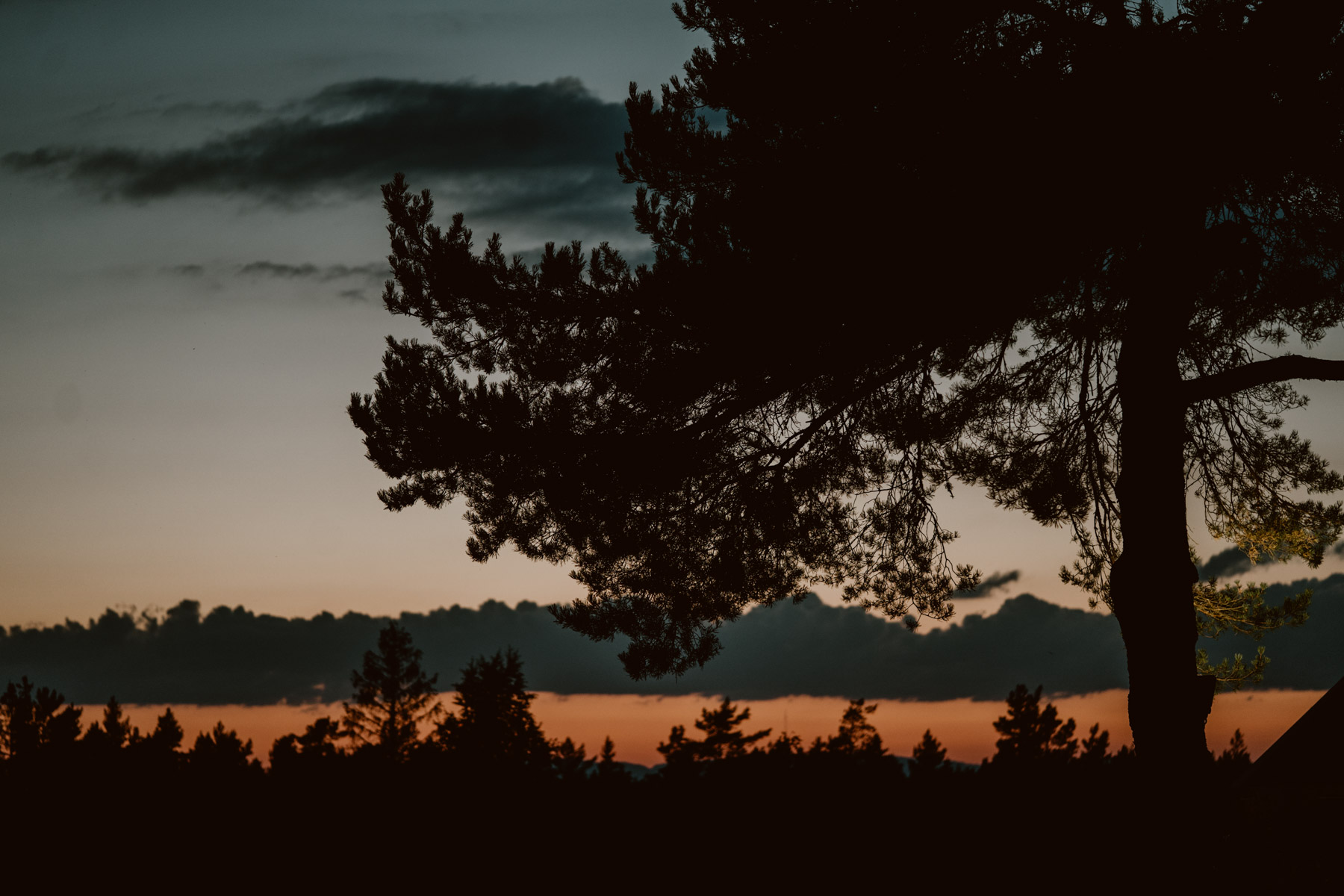 bryllup oslo fotograph norway