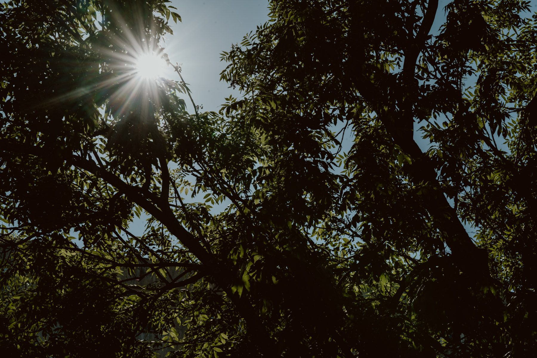 bryllup oslo fotograph norway