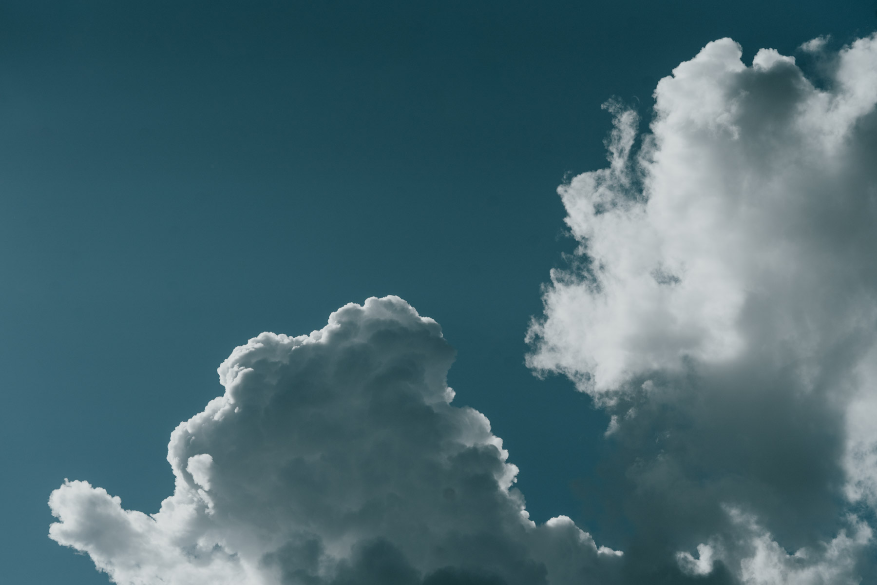 bryllup oslo fotograph norway