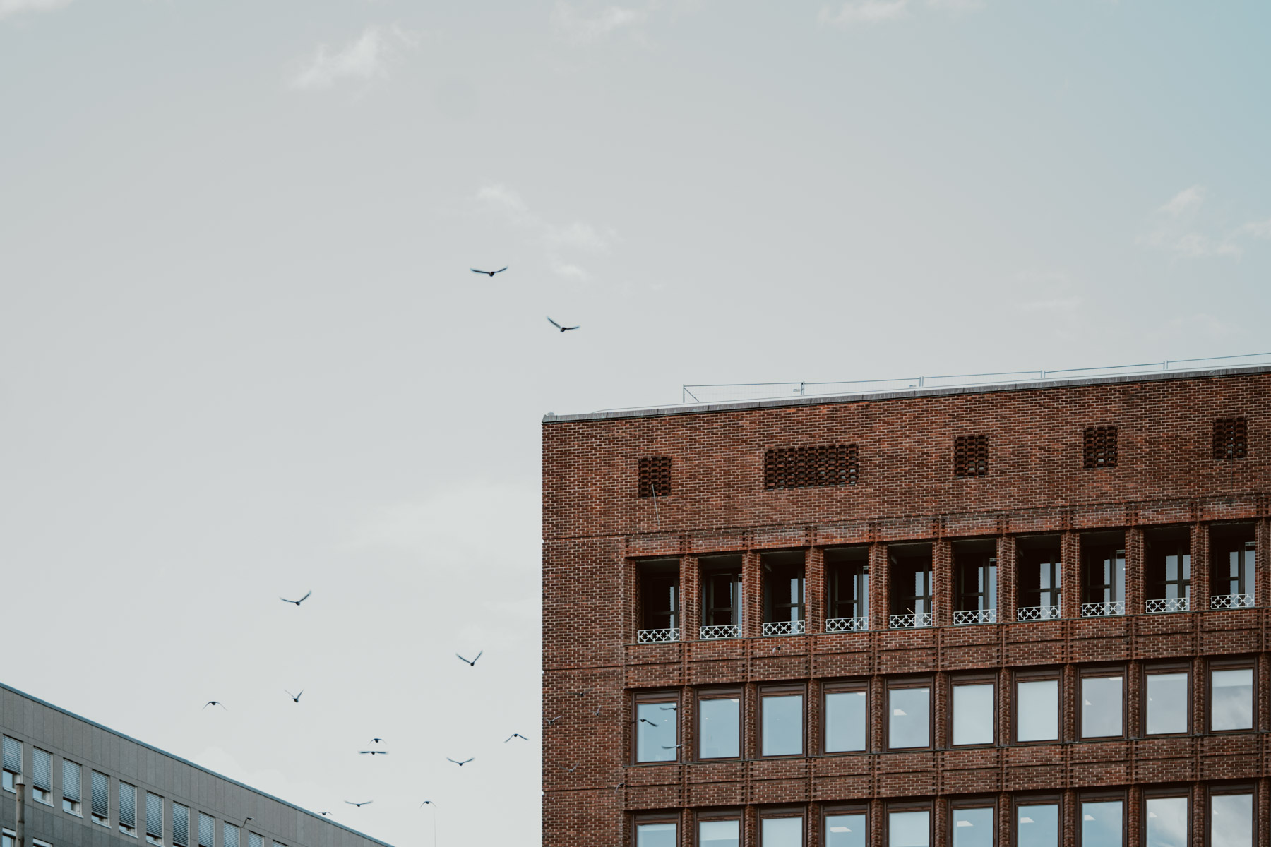 bryllup oslo fotograph norway