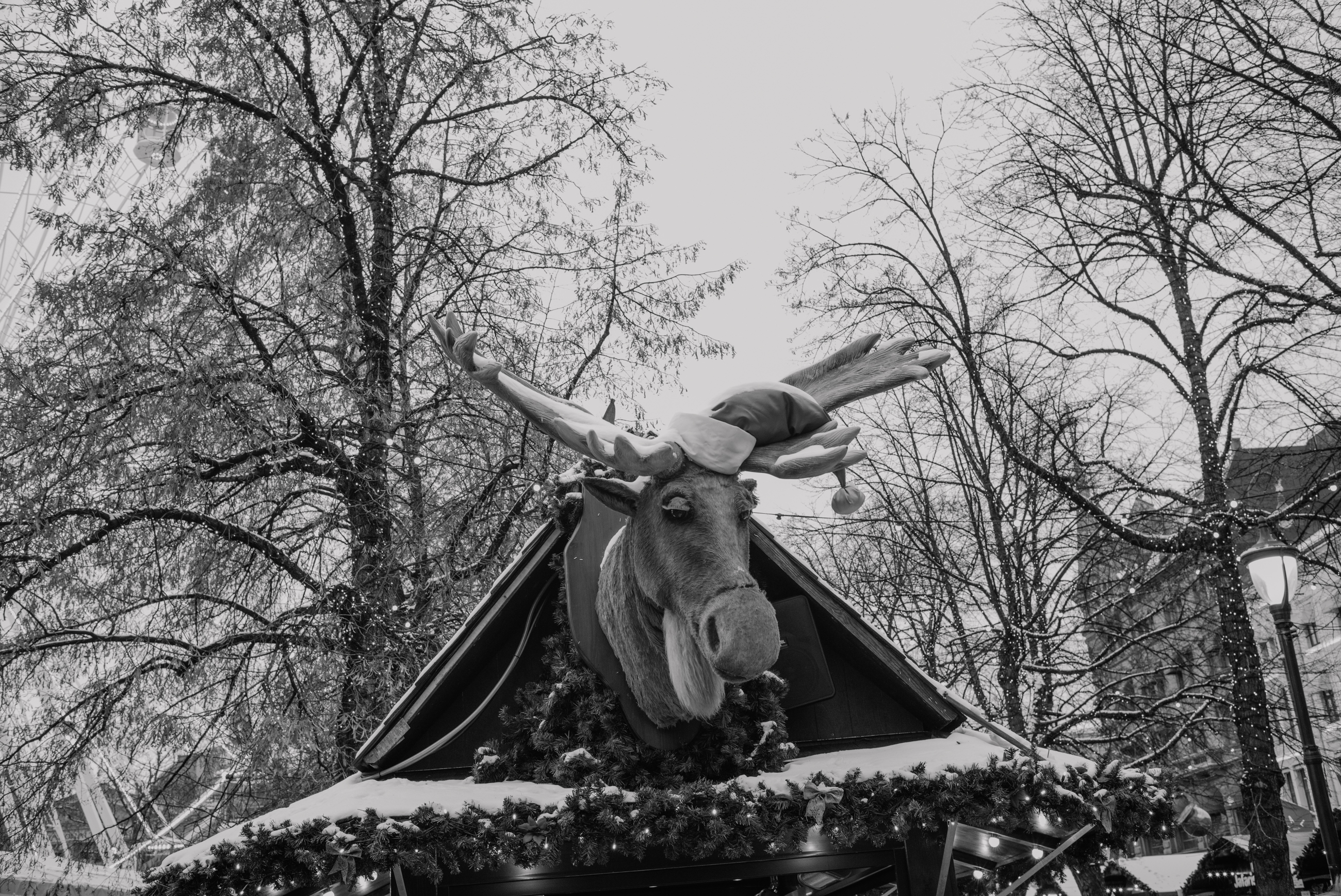 bryllup oslo fotograph norway