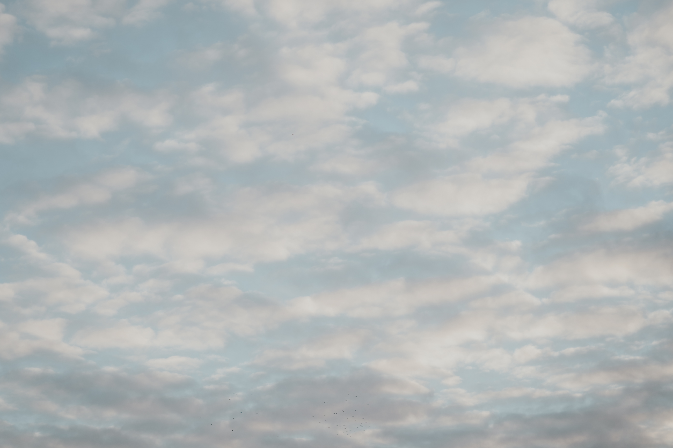 bryllup oslo fotograph norway