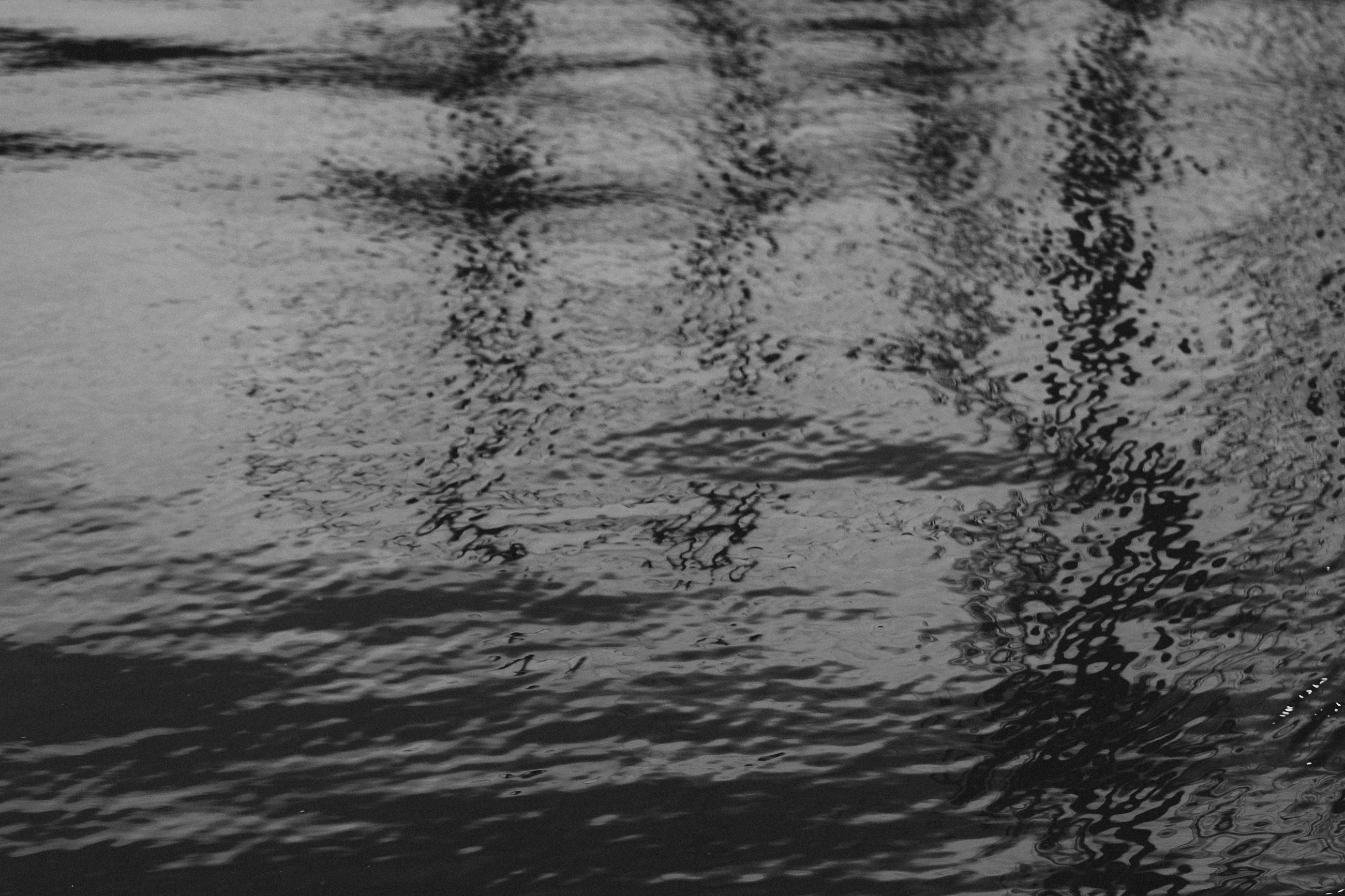 bryllup oslo fotograph norway