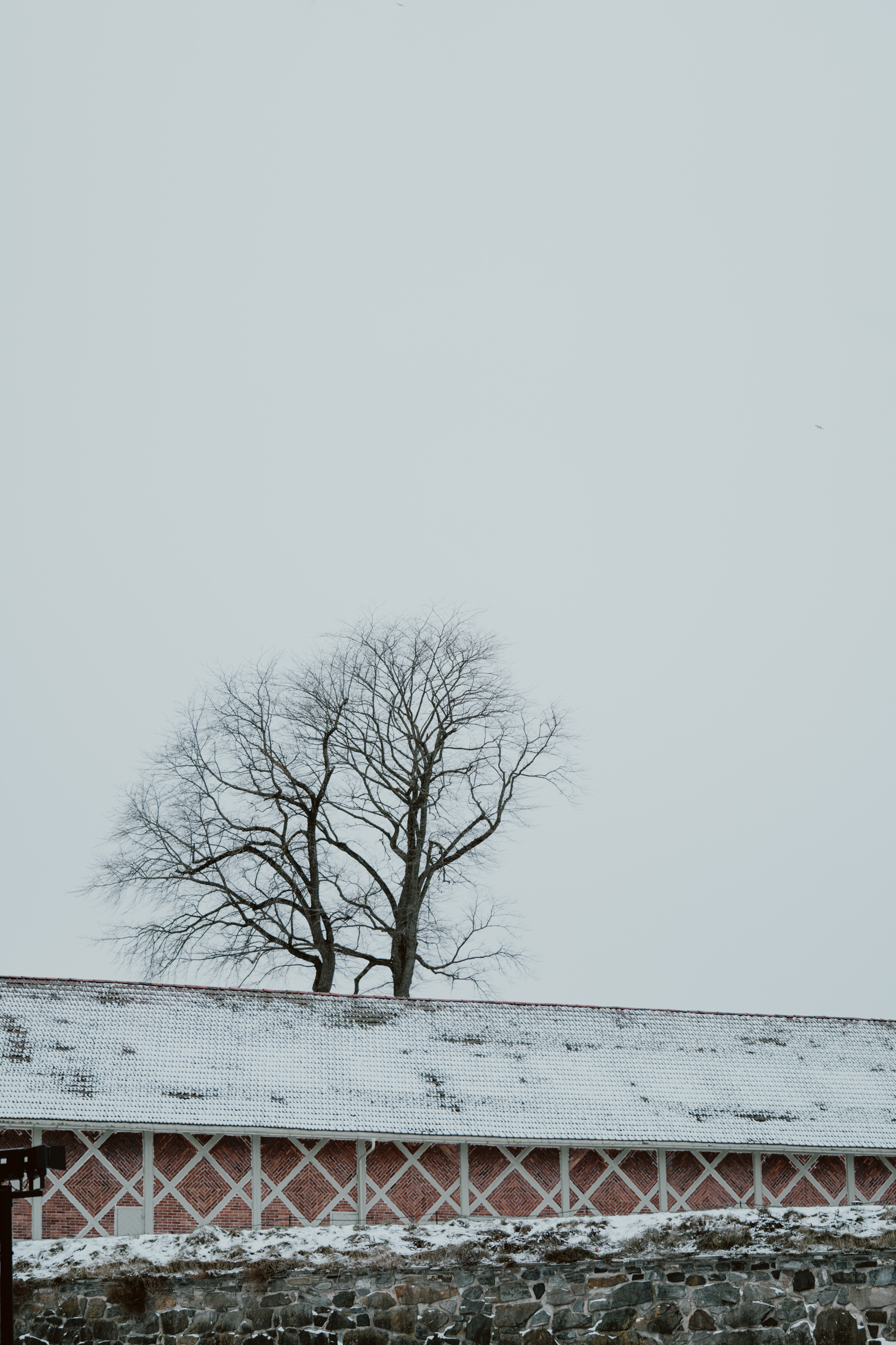 bryllup oslo fotograph norway