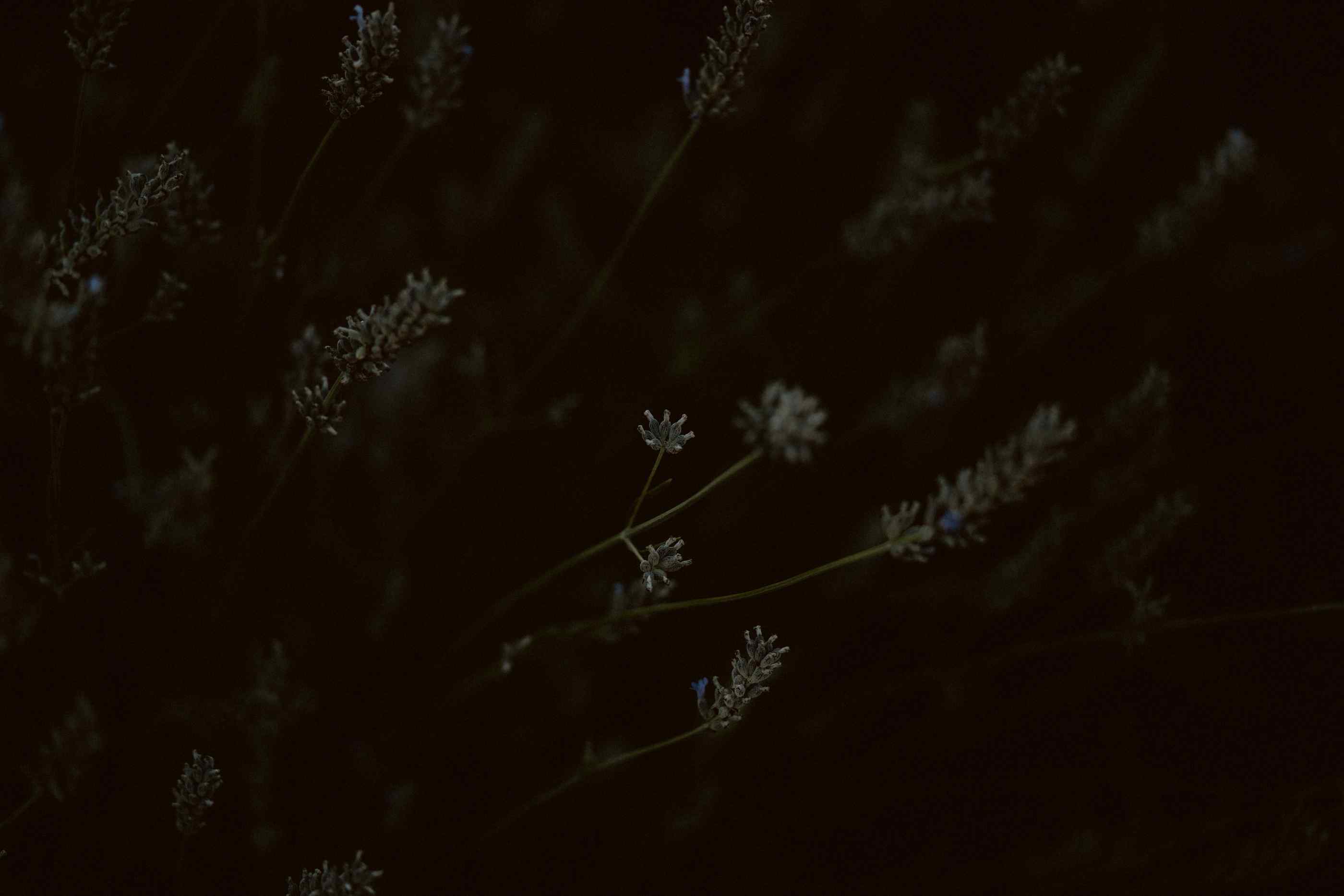 bryllup oslo fotograph norway