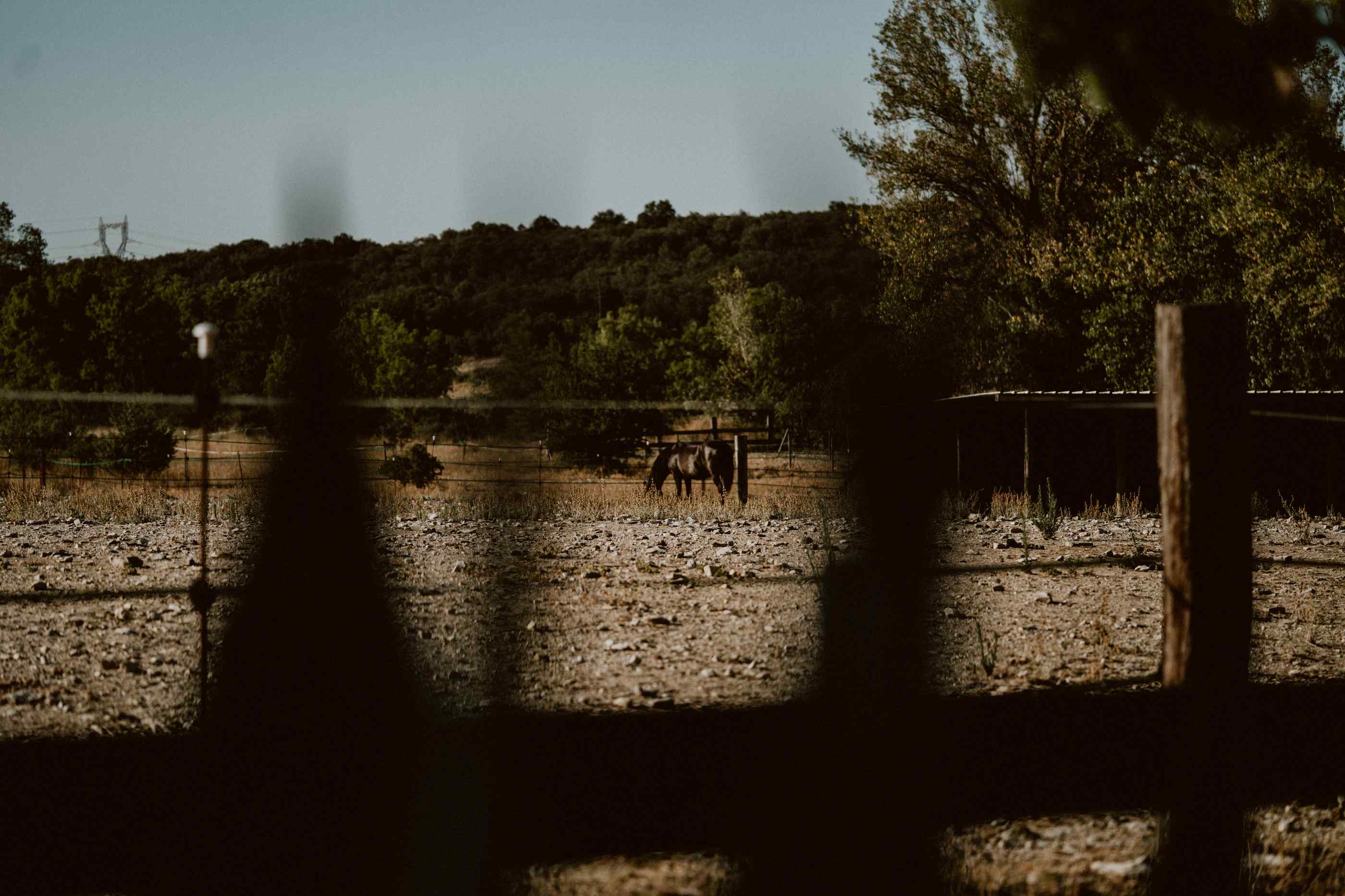 bryllup oslo fotograph norway