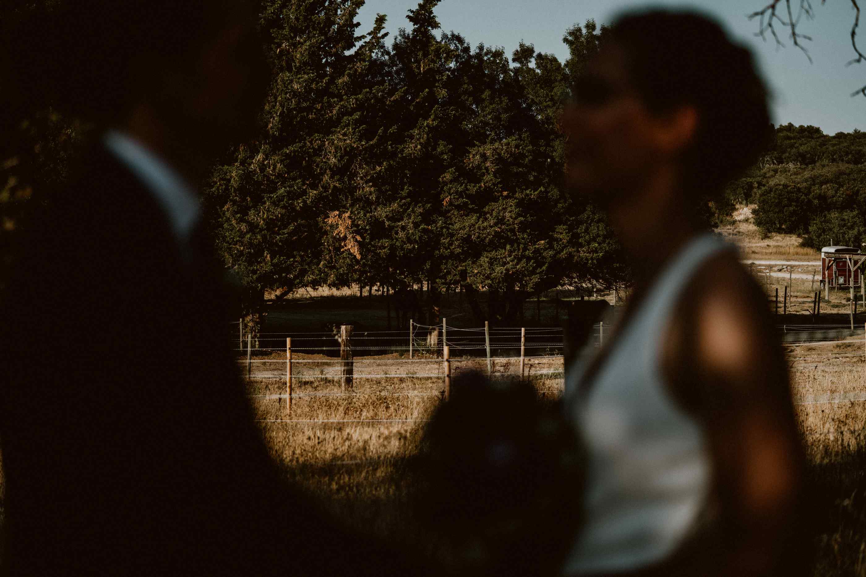 bryllup oslo fotograph norway